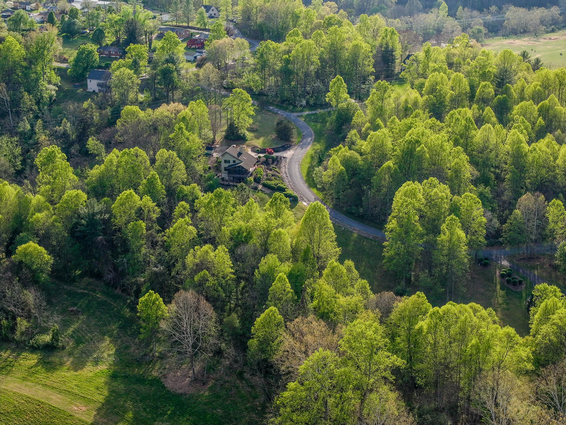 TBD Monte Carlo Ln - Photo 8