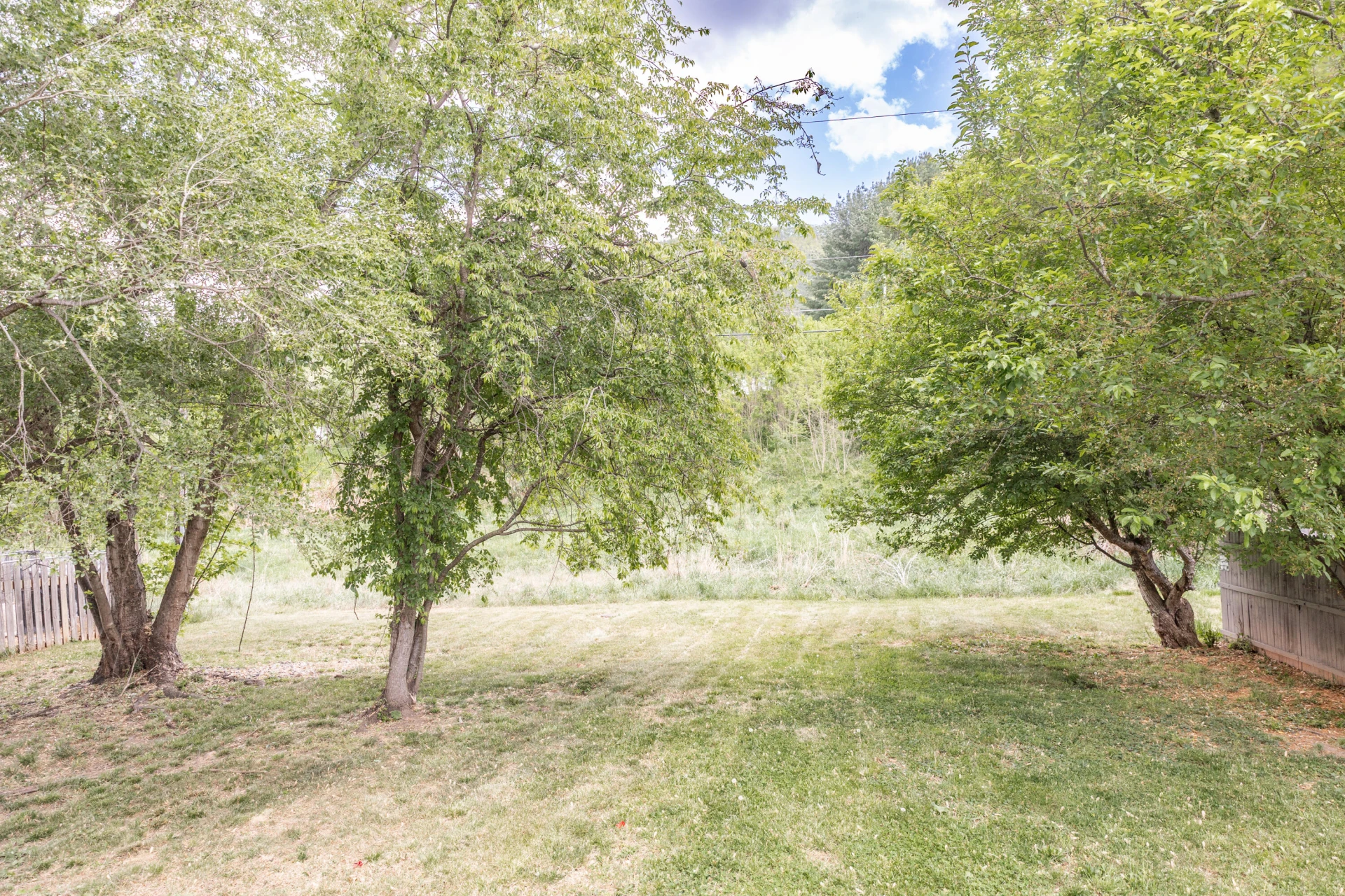 1448 Oak Ave - Photo 4