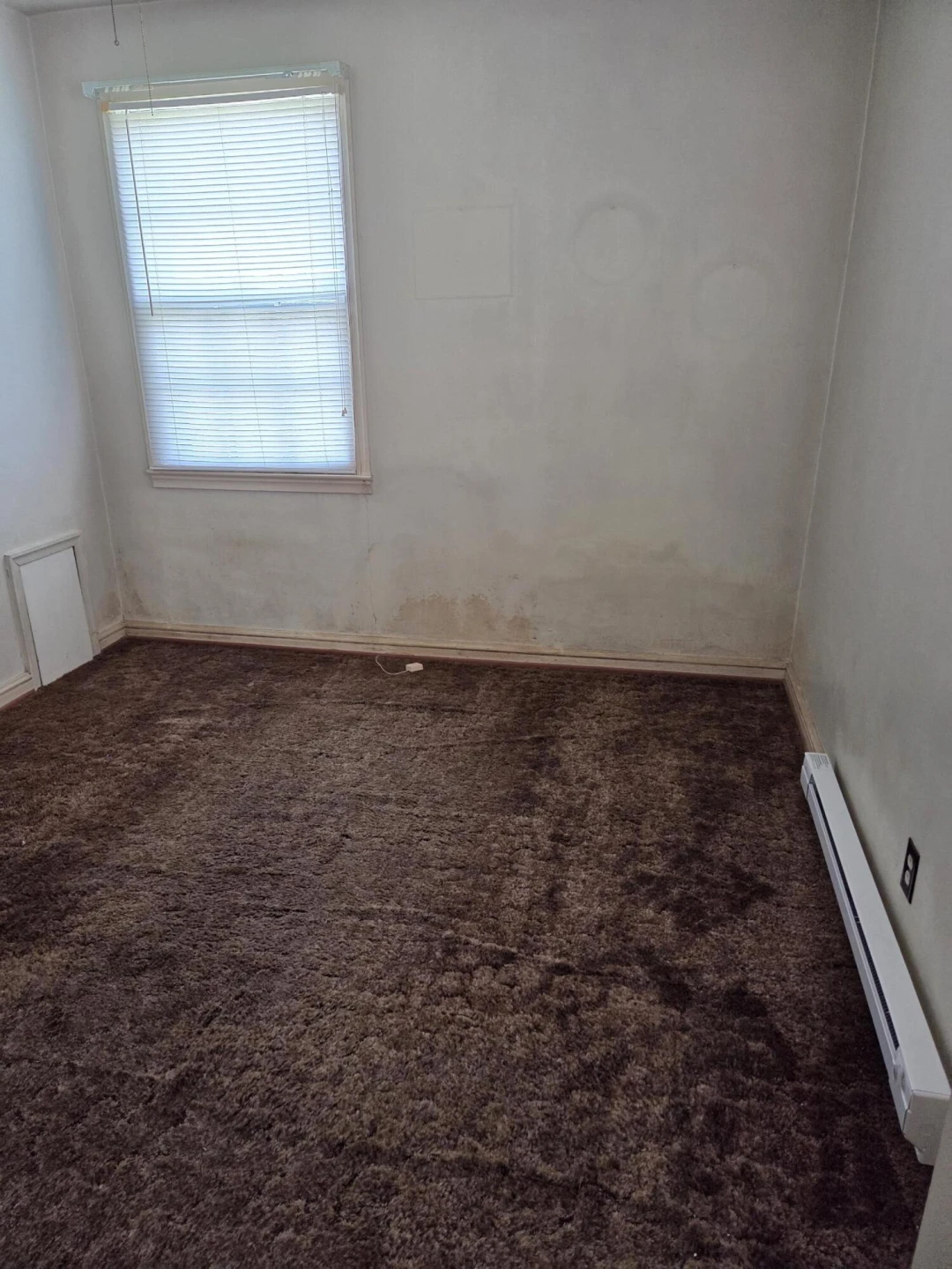 411 S Craig Ave - Photo 11