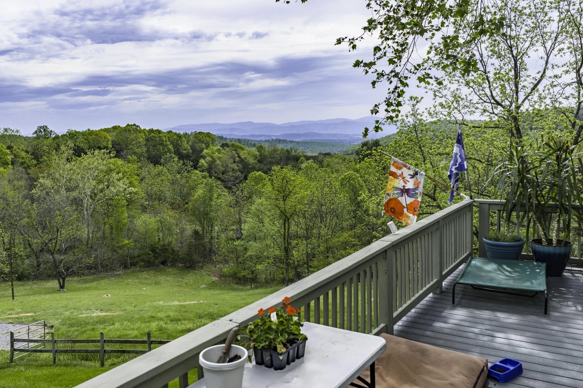 311 Higgins Hollow Rd - Photo 35