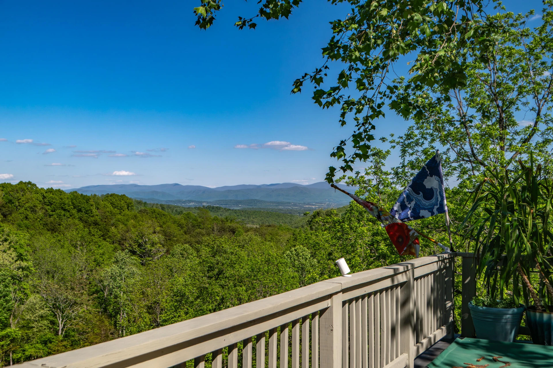 311 Higgins Hollow Rd - Photo 36