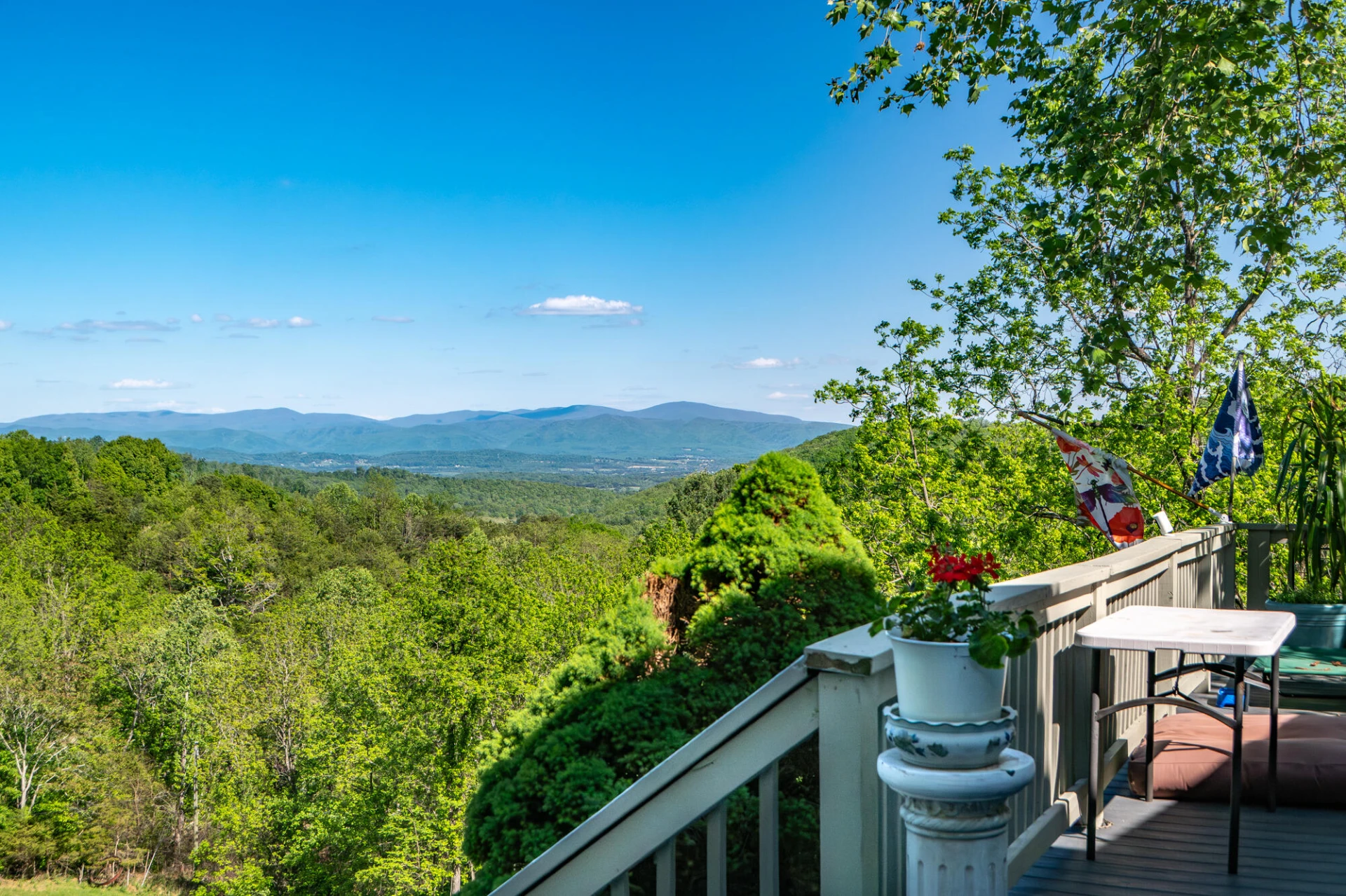 311 Higgins Hollow Rd - Photo 37