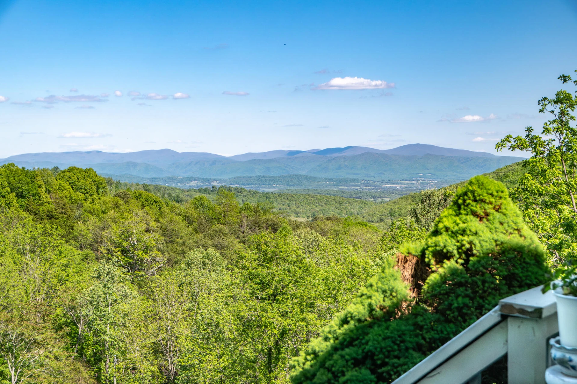 311 Higgins Hollow Rd - Photo 38