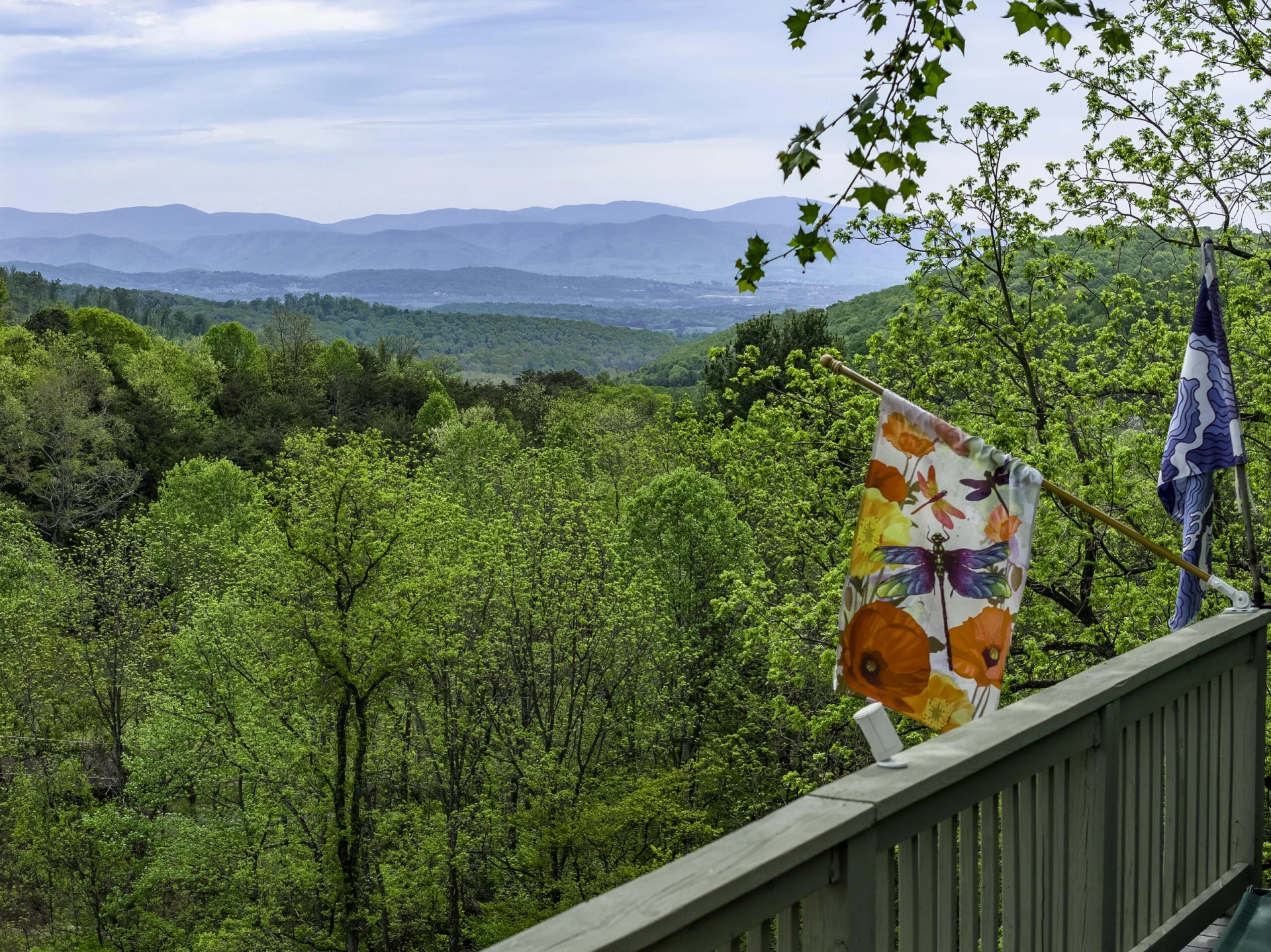 311 Higgins Hollow Rd - Photo 39