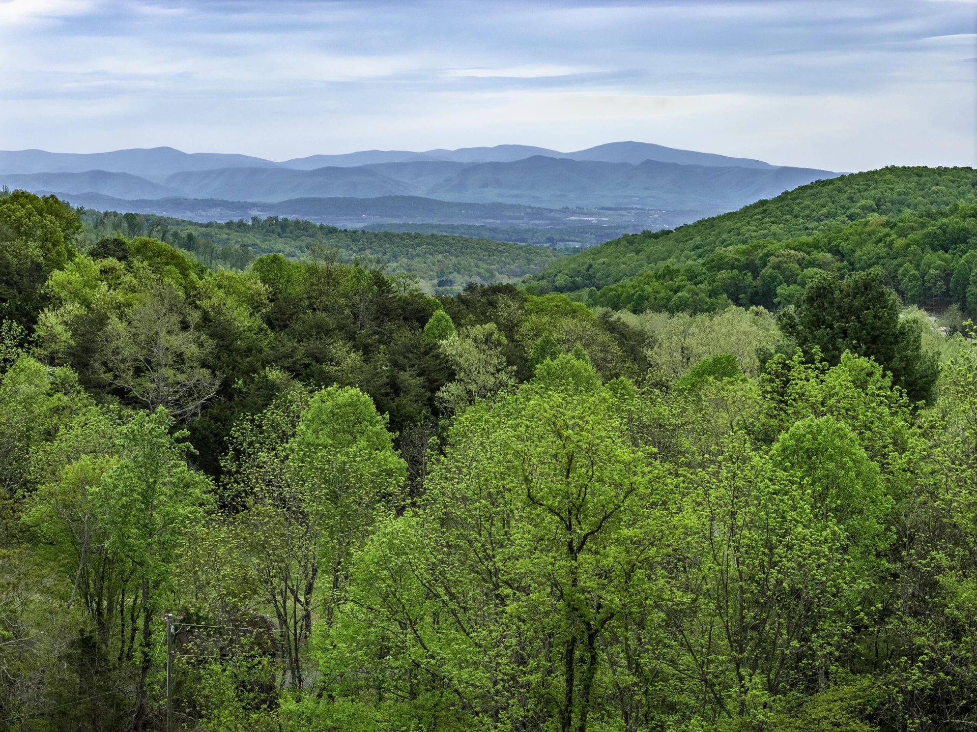 311 Higgins Hollow Rd - Photo 40