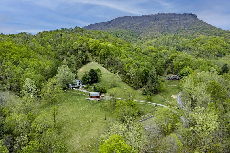 311 Higgins Hollow Rd - Photo 79