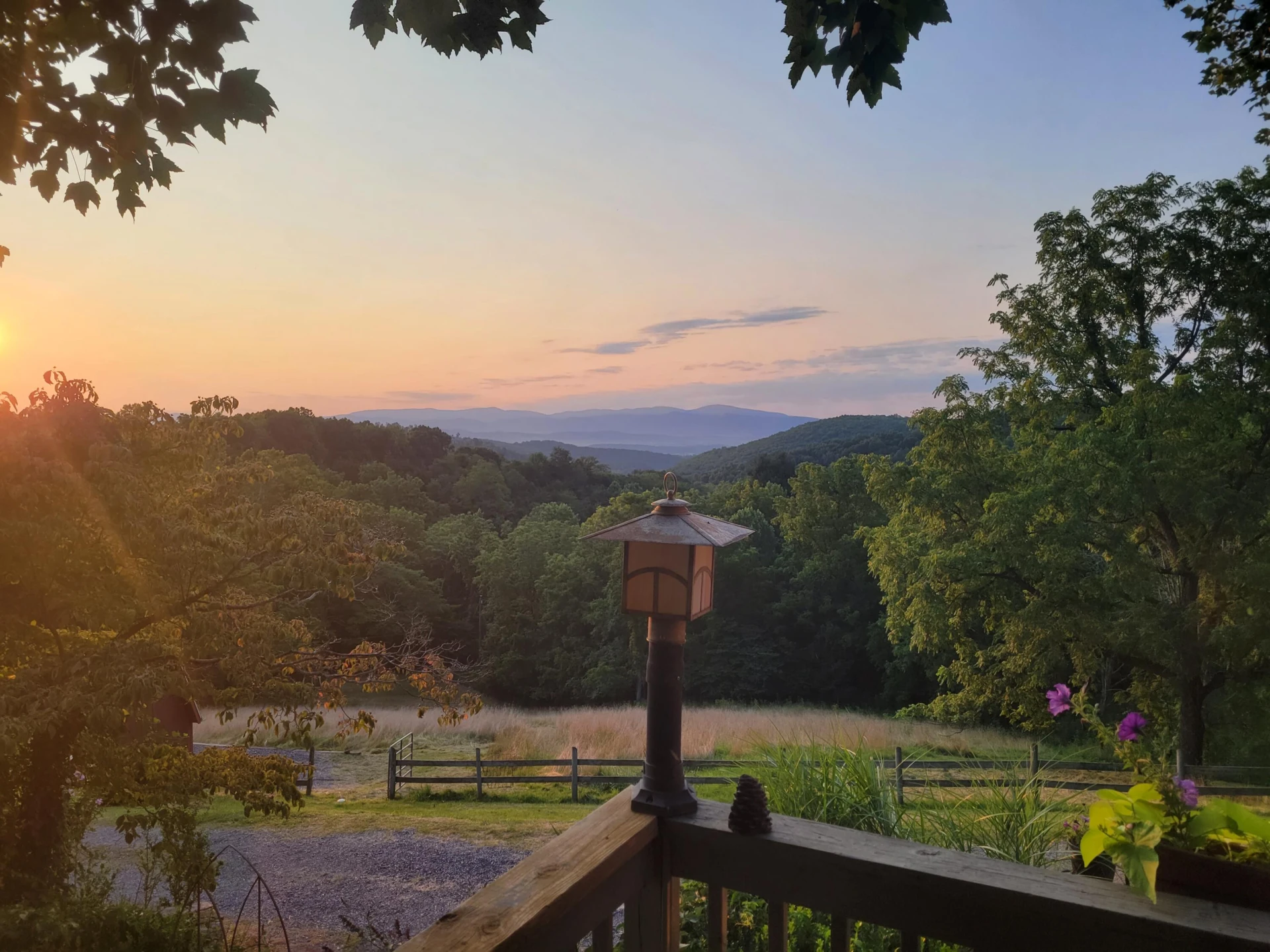 311 Higgins Hollow Rd - Photo 82