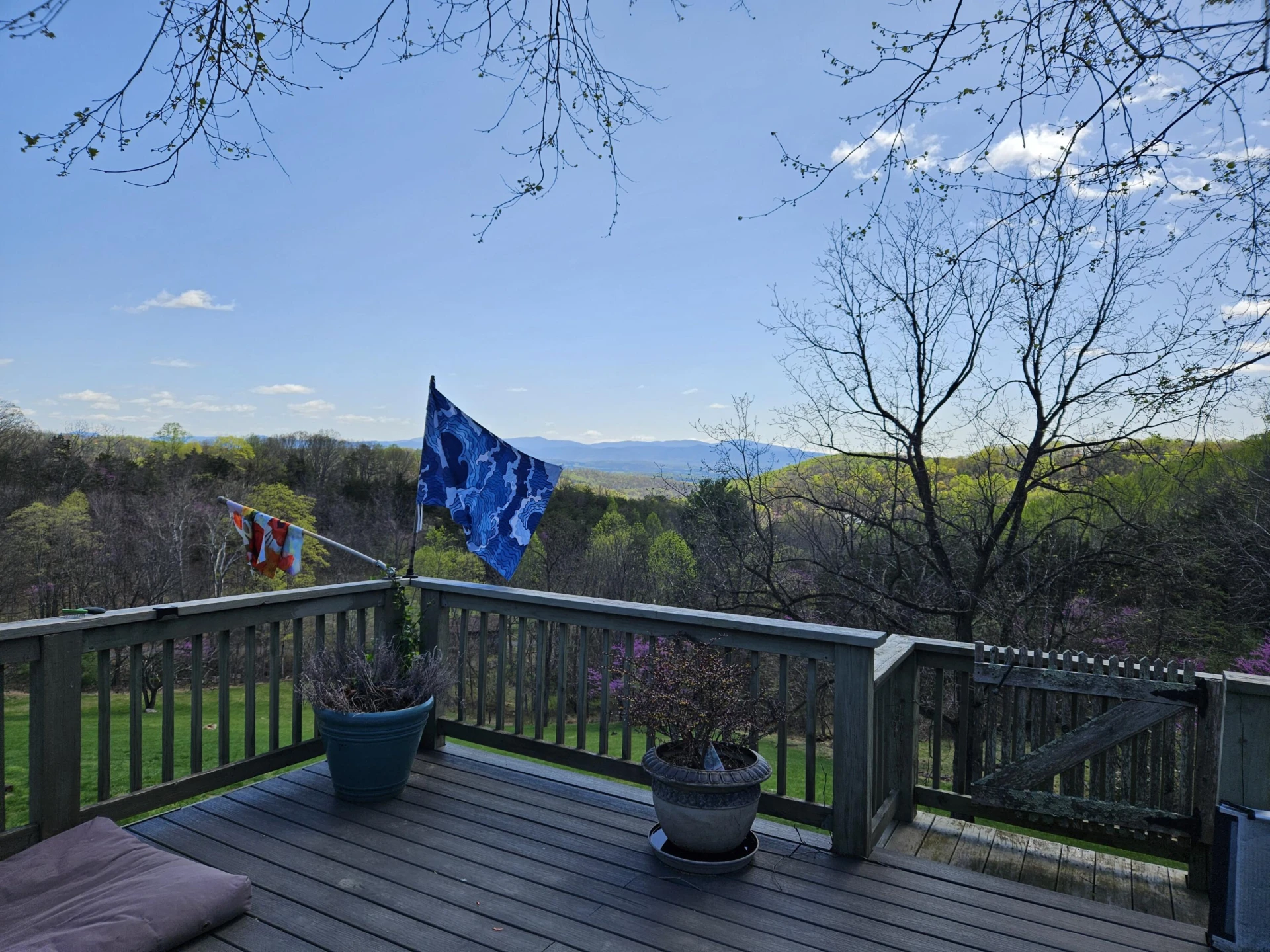311 Higgins Hollow Rd - Photo 84