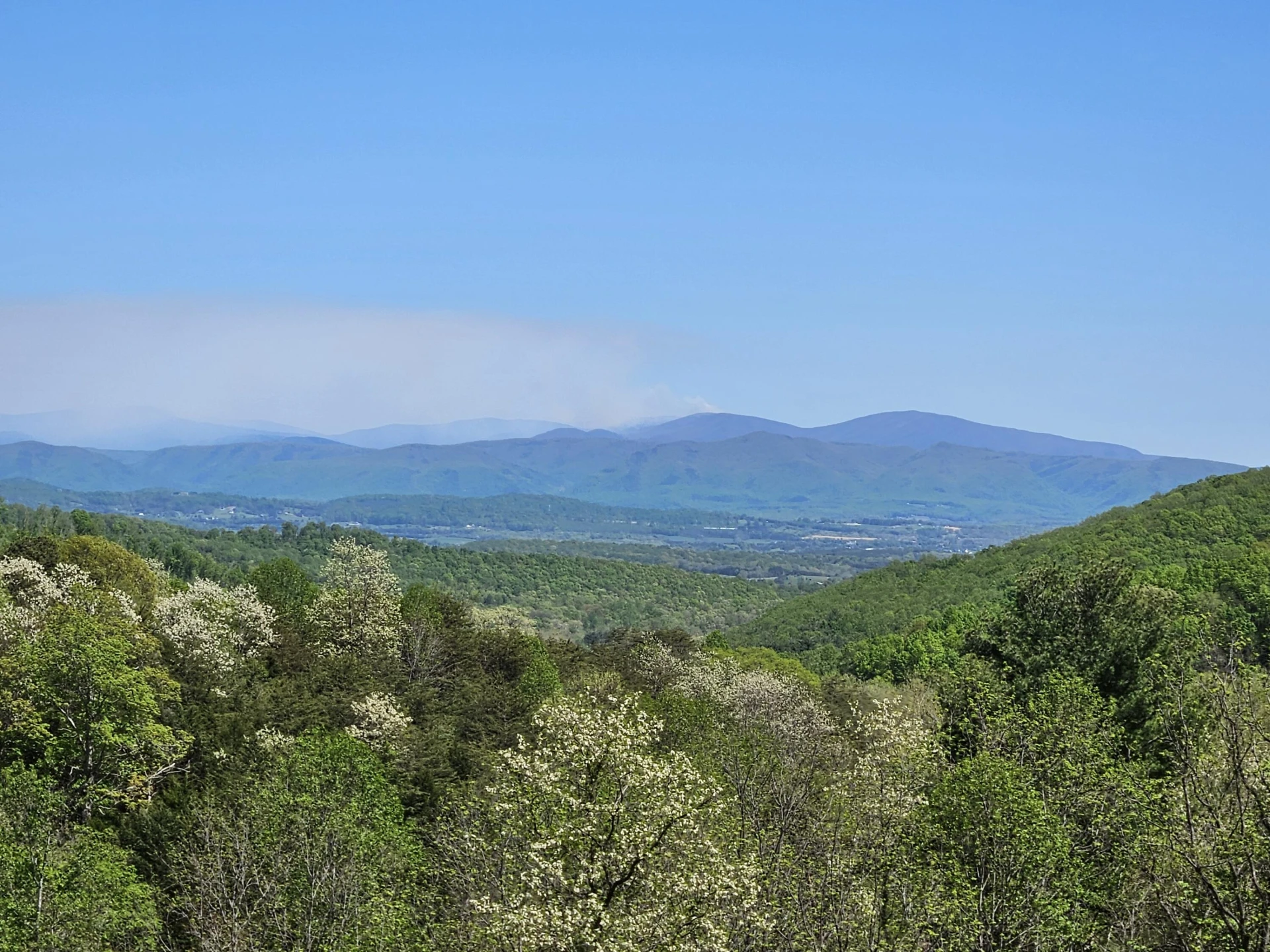 311 Higgins Hollow Rd - Photo 85