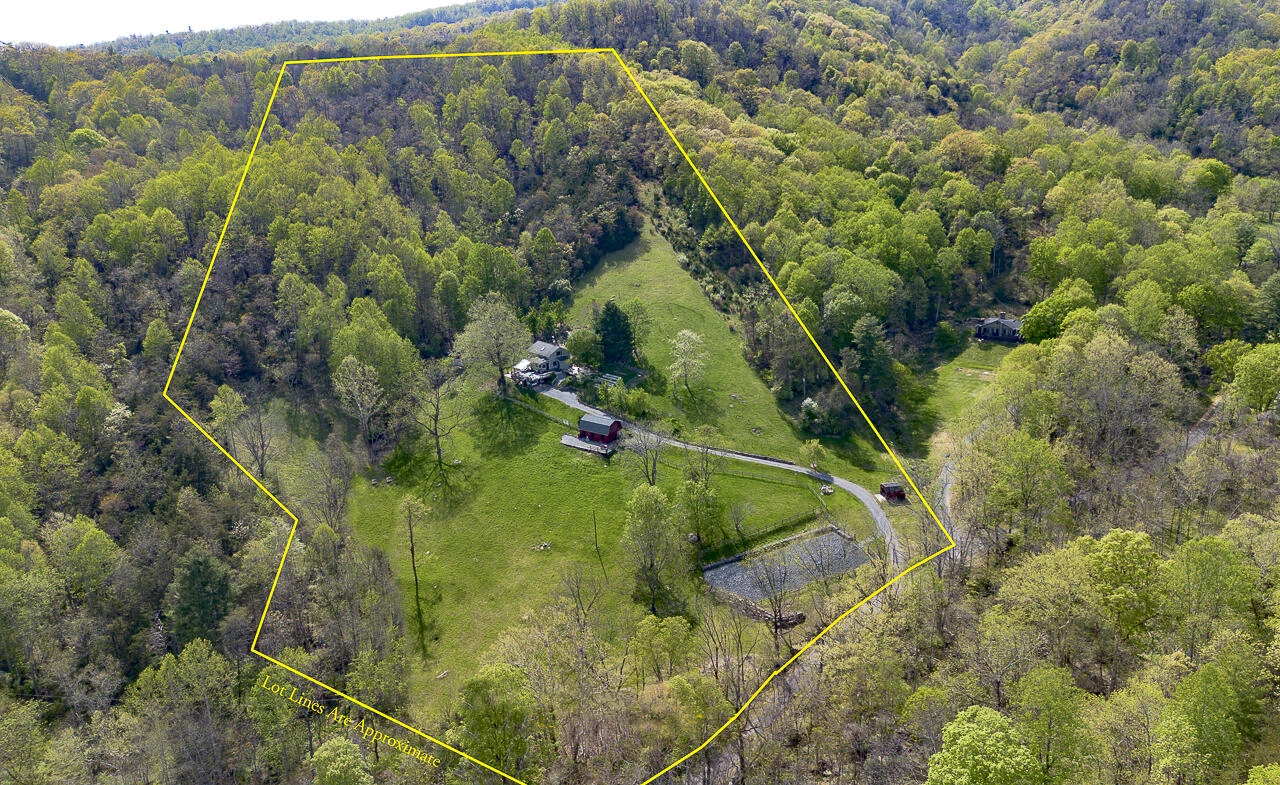 311 Higgins Hollow Rd - Photo 9