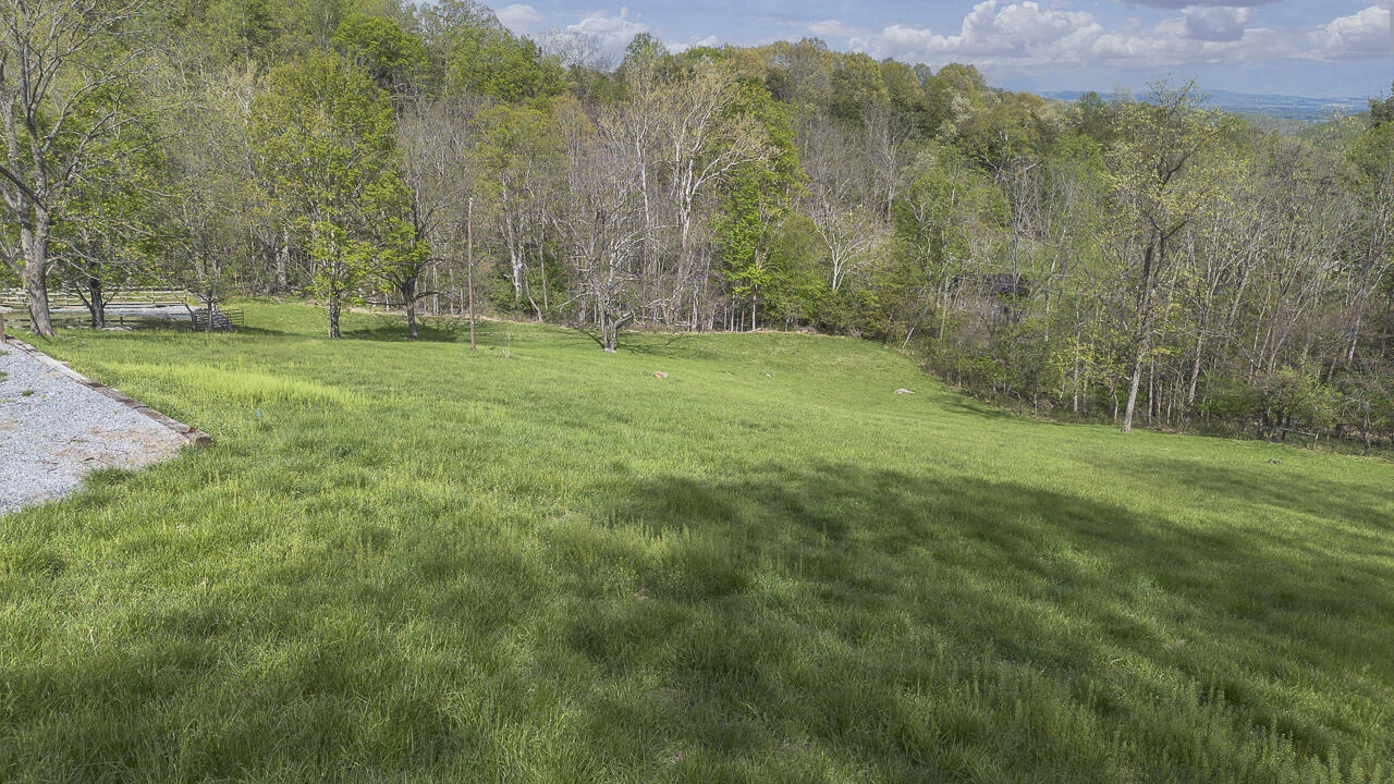 311 Higgins Hollow Rd - Photo 94