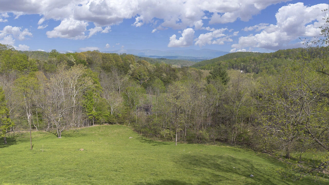 311 Higgins Hollow Rd - Photo 95