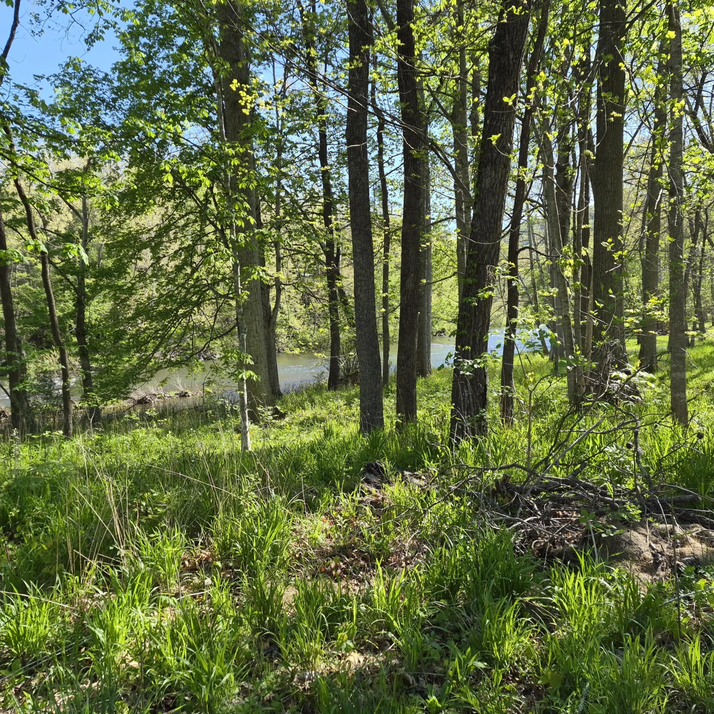 616 Dunbrack Cir - Photo 46