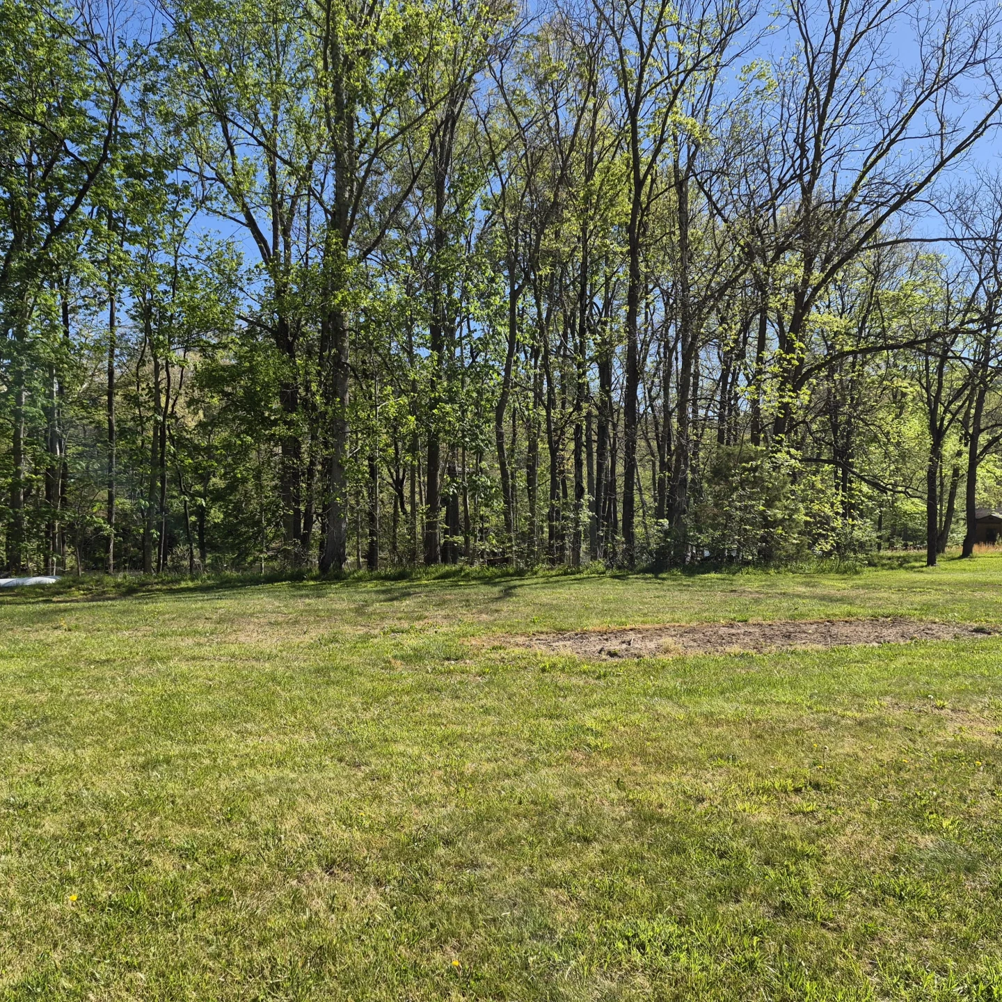 616 Dunbrack Cir - Photo 47