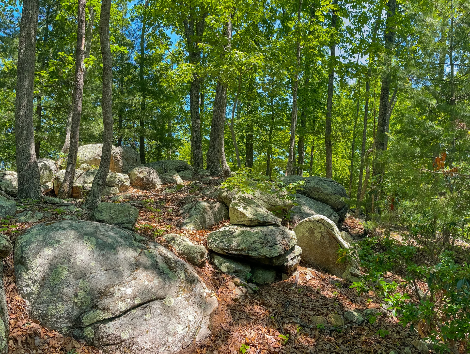 151 Stoneybrook Rd - Photo 89