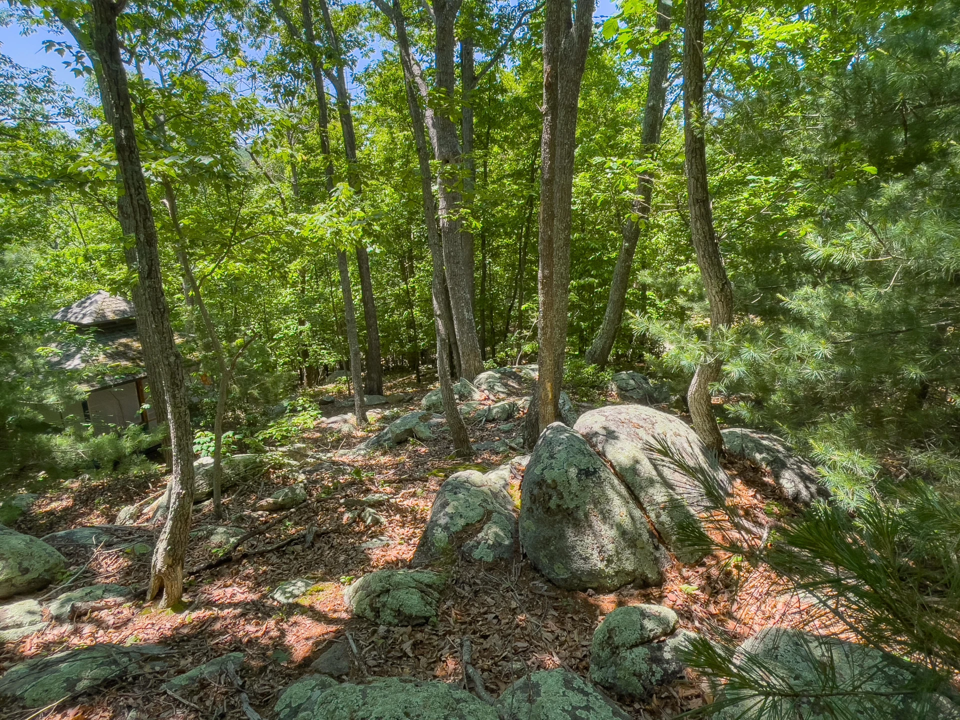 151 Stoneybrook Rd - Photo 90
