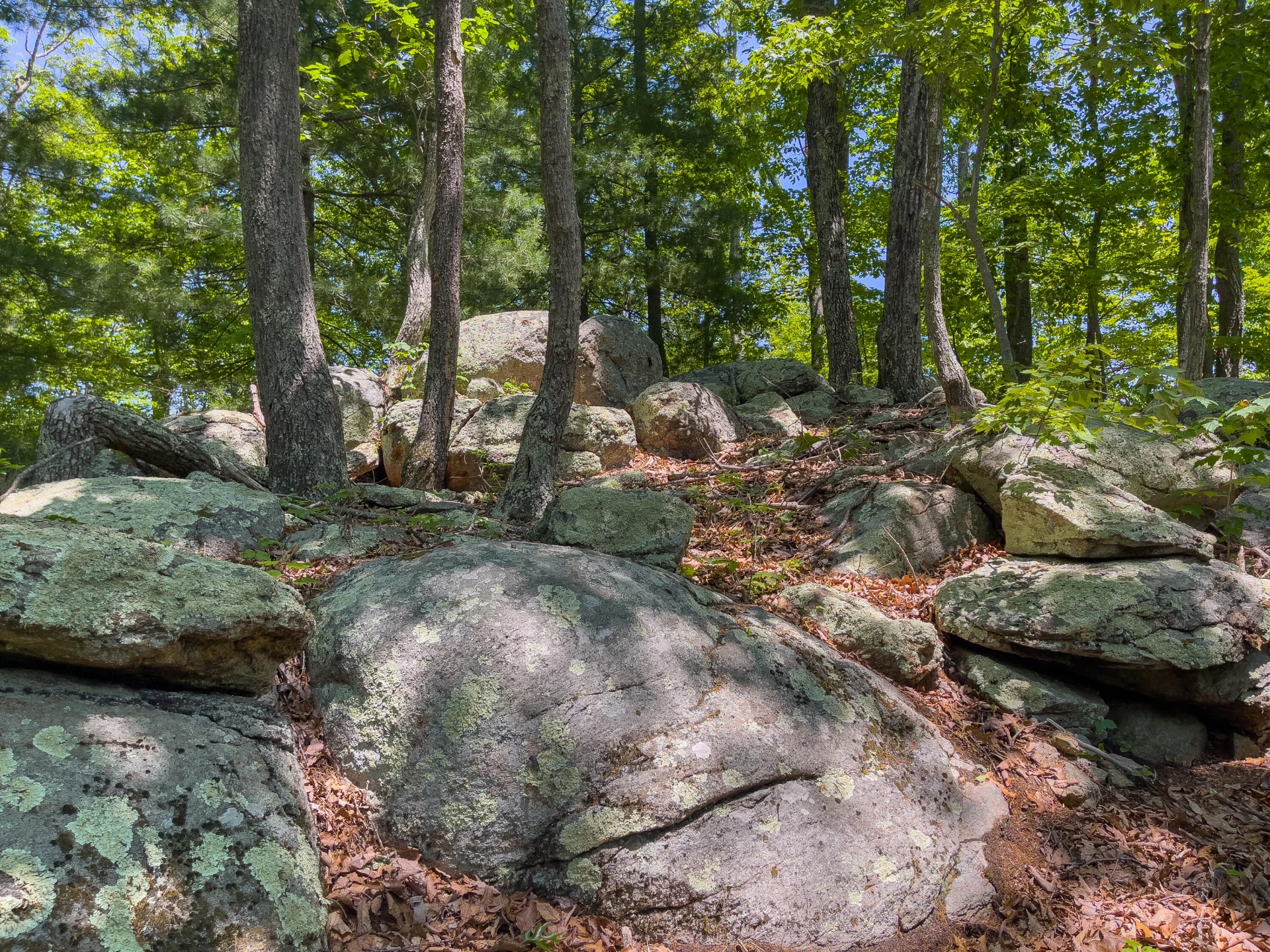 151 Stoneybrook Rd - Photo 93