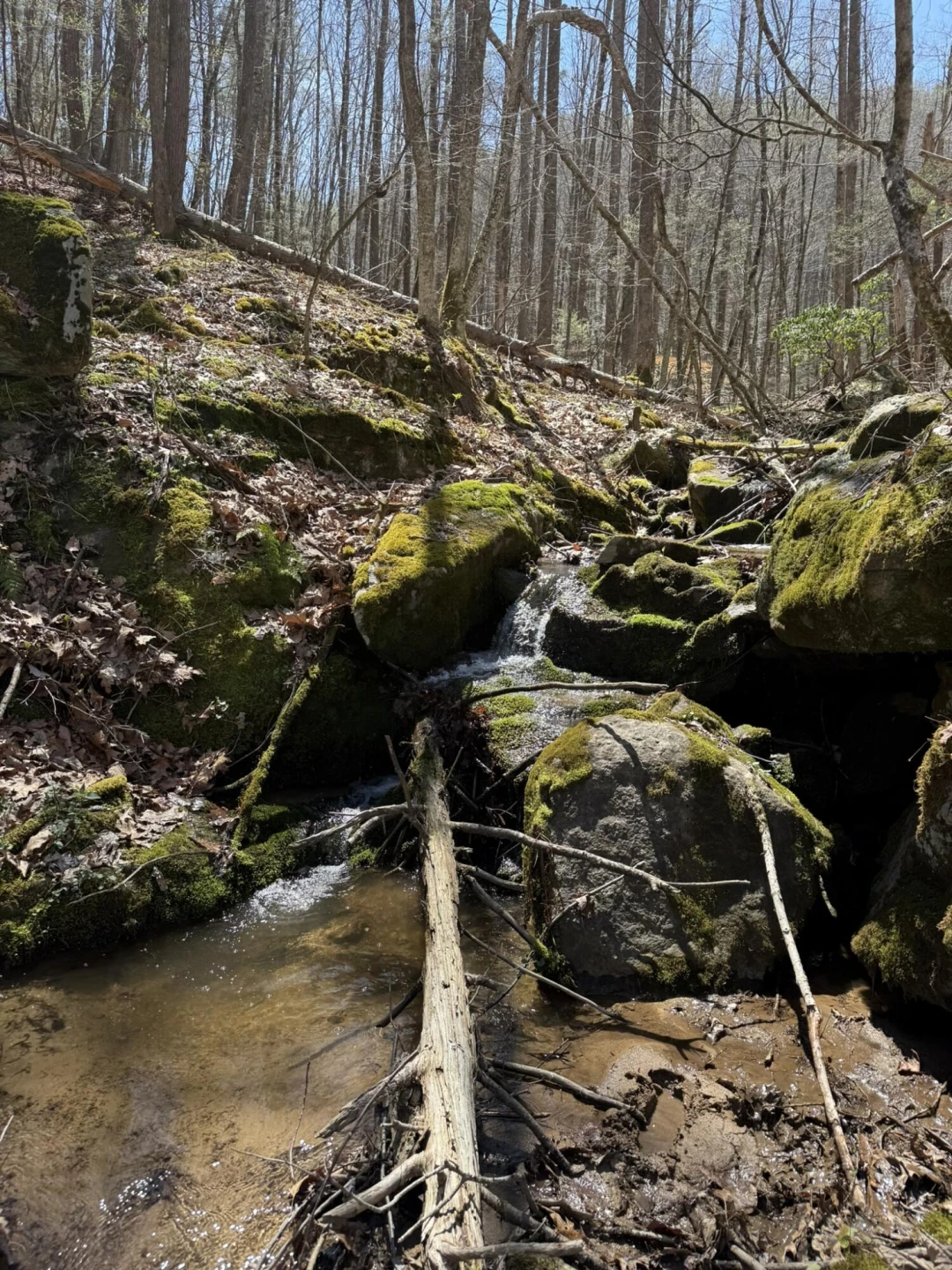 2050 Pedlar River Rd - Photo 10