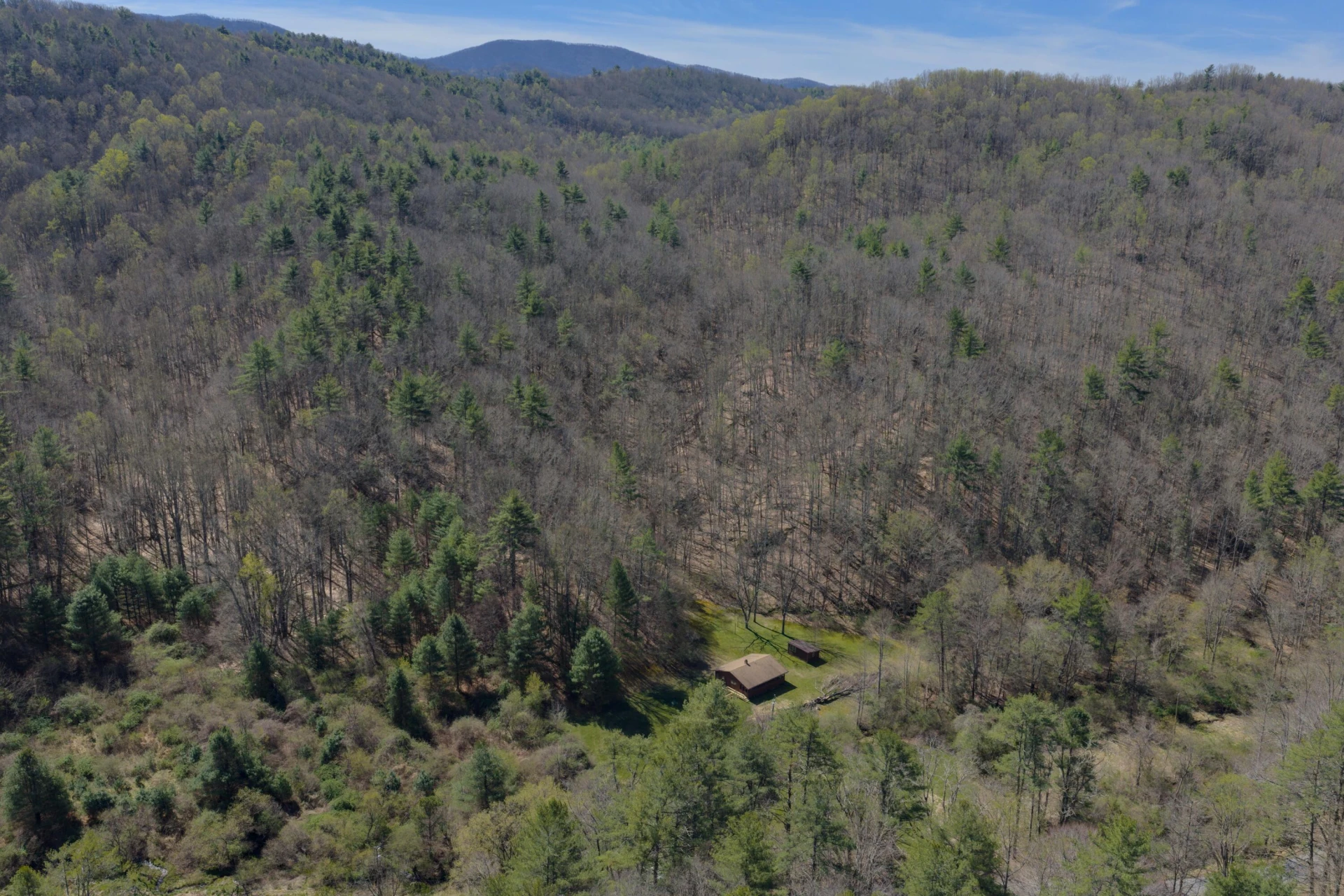 2050 Pedlar River Rd - Photo 2