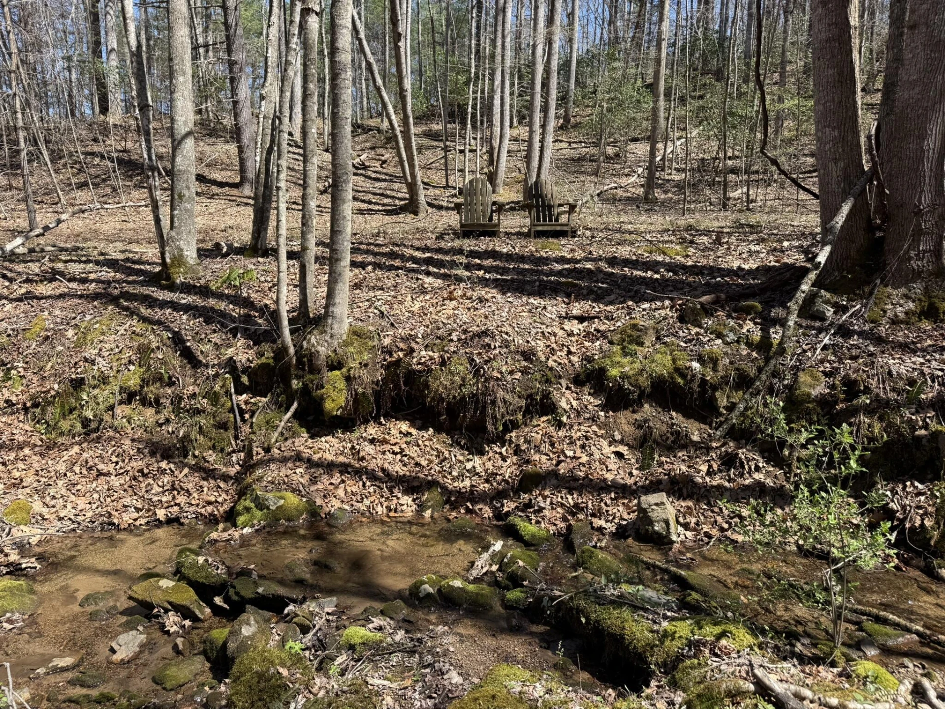 2050 Pedlar River Rd - Photo 27
