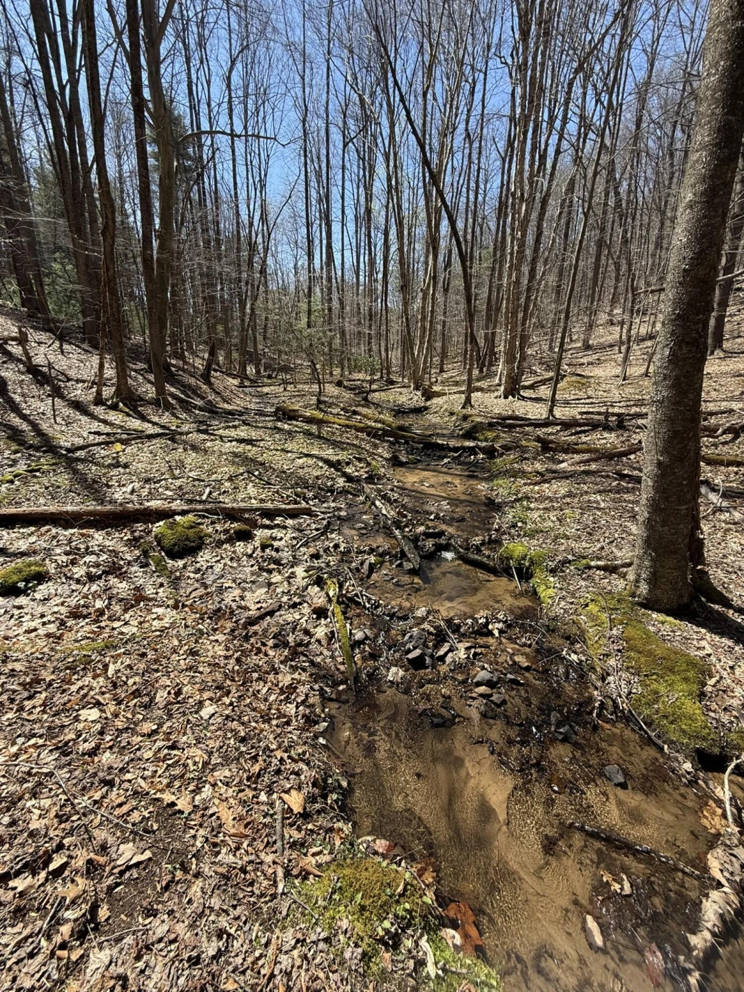 2050 Pedlar River Rd - Photo 28