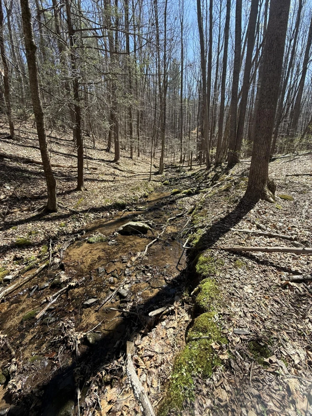 2050 Pedlar River Rd - Photo 29