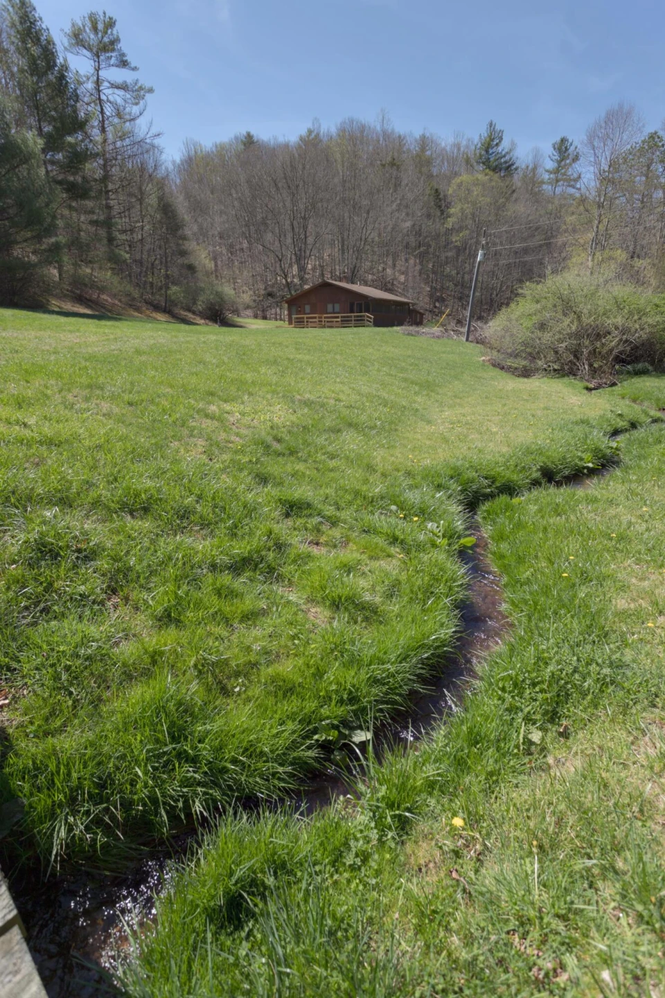 2050 Pedlar River Rd - Photo 3