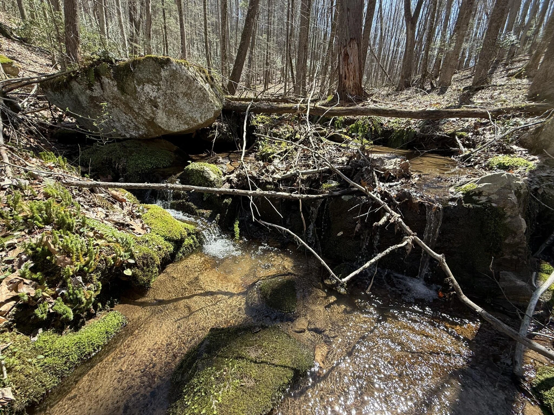 2050 Pedlar River Rd - Photo 30