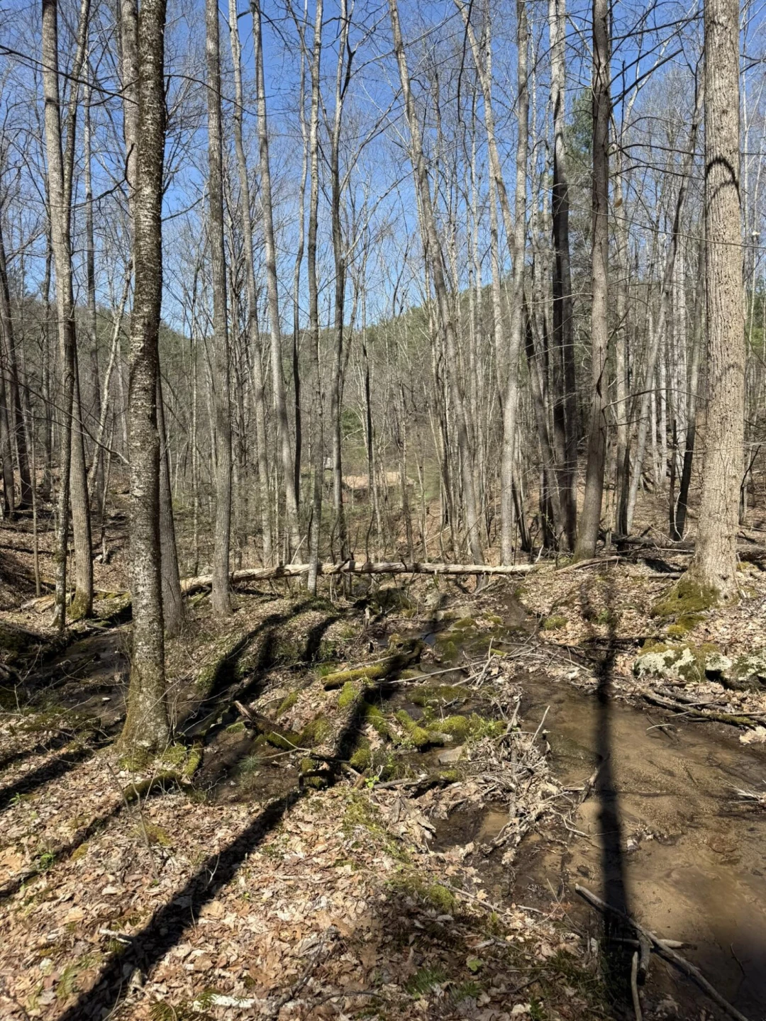2050 Pedlar River Rd - Photo 31