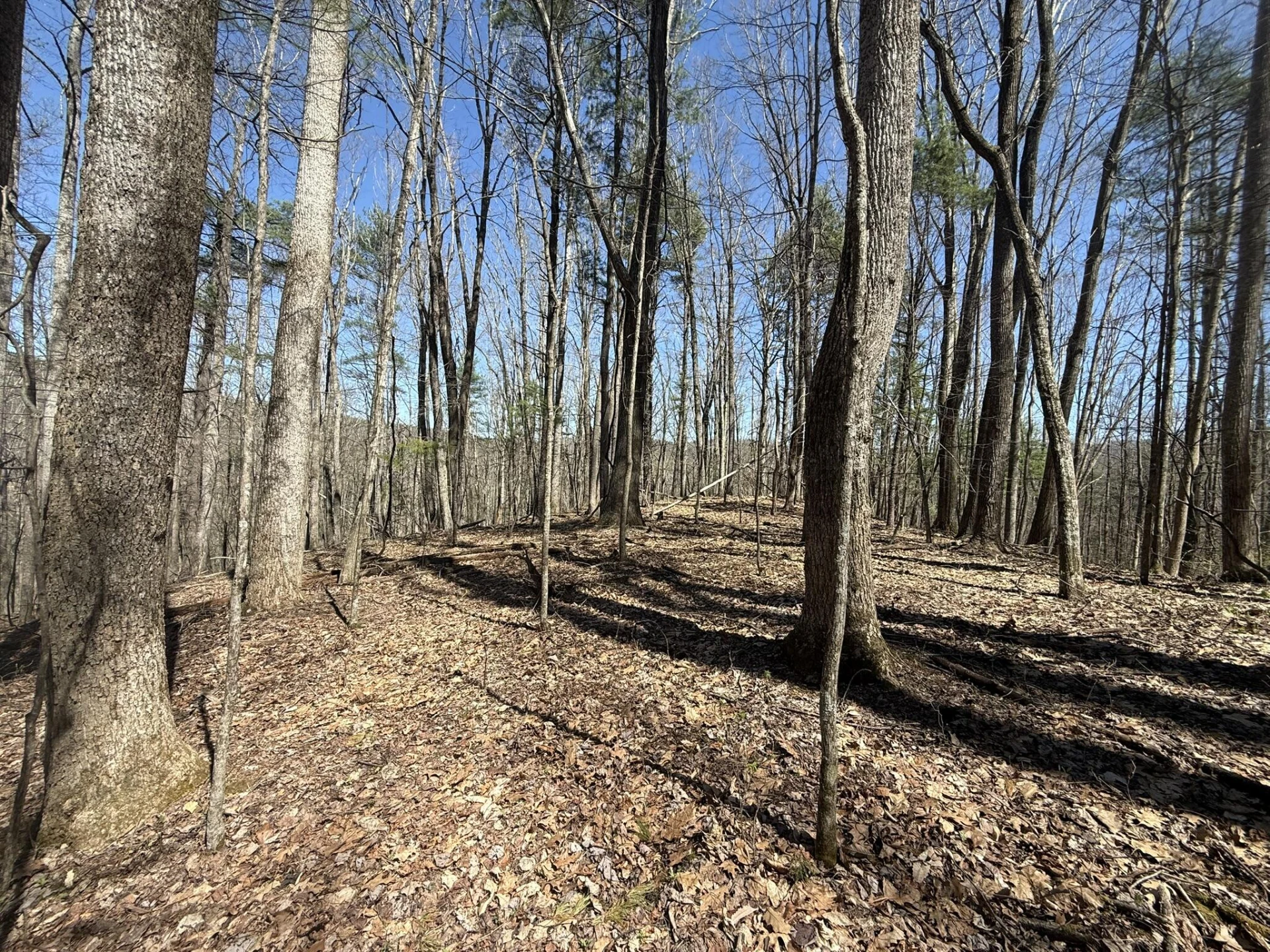 2050 Pedlar River Rd - Photo 32
