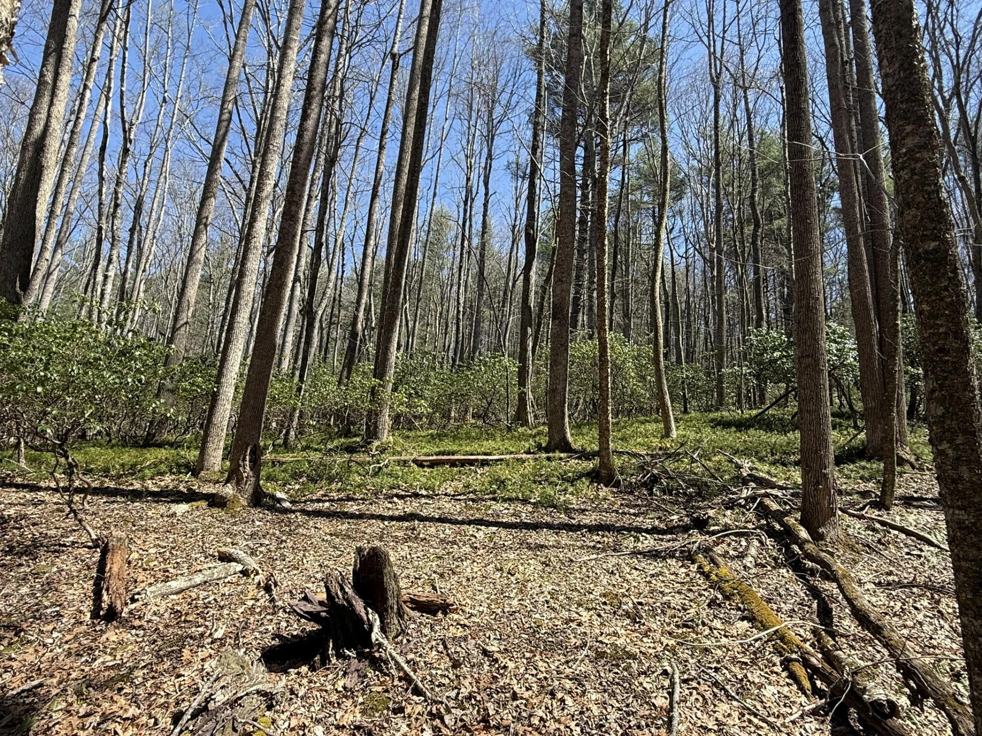 2050 Pedlar River Rd - Photo 33