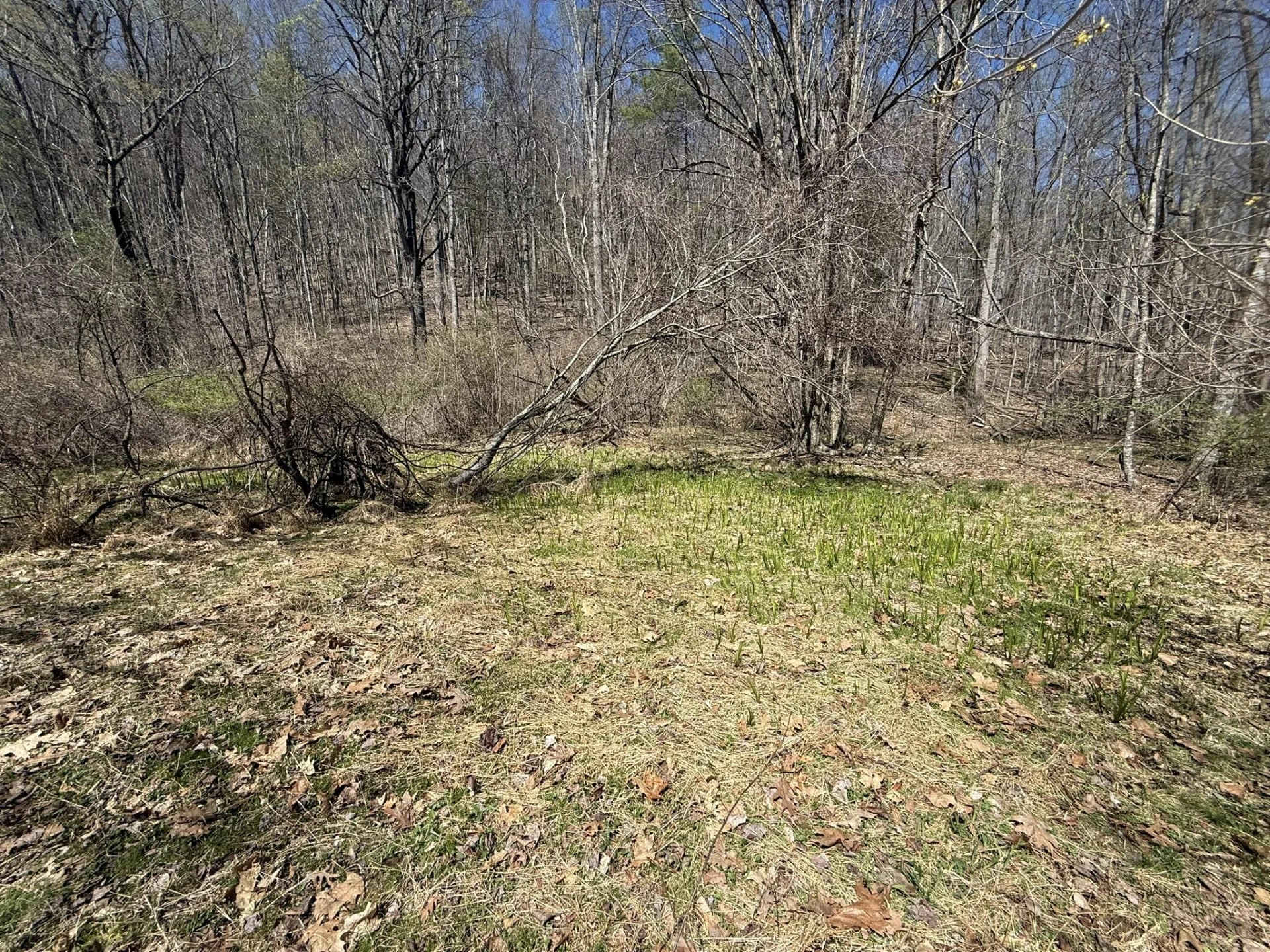 2050 Pedlar River Rd - Photo 34
