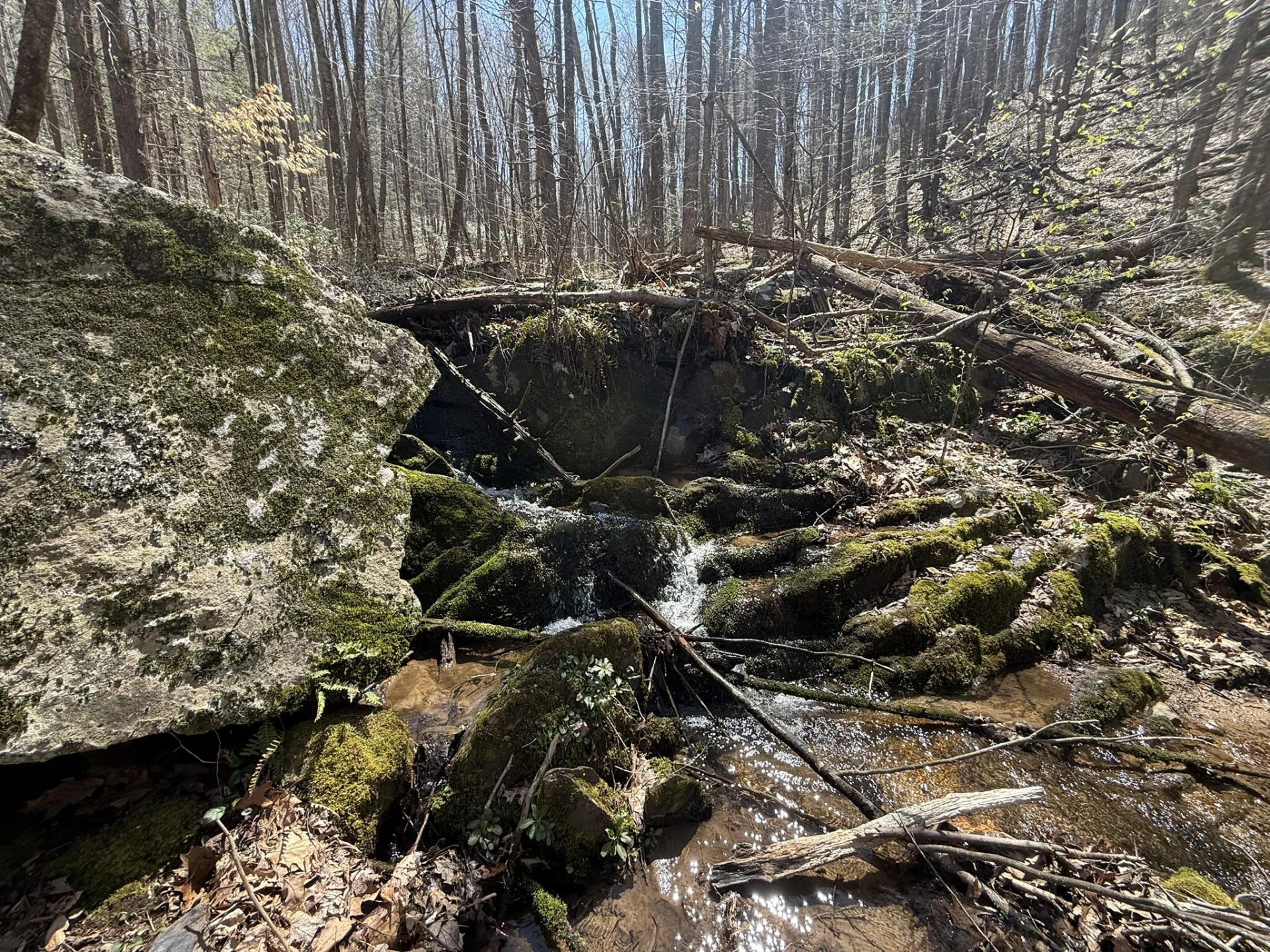 2050 Pedlar River Rd - Photo 8