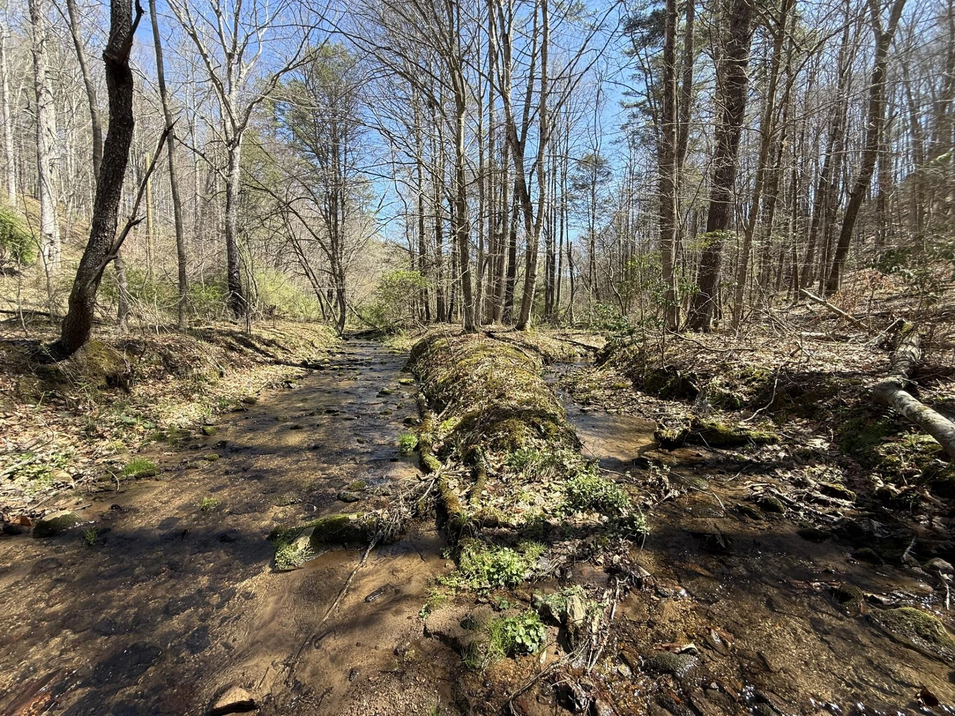 2050 Pedlar River Rd - Photo 9