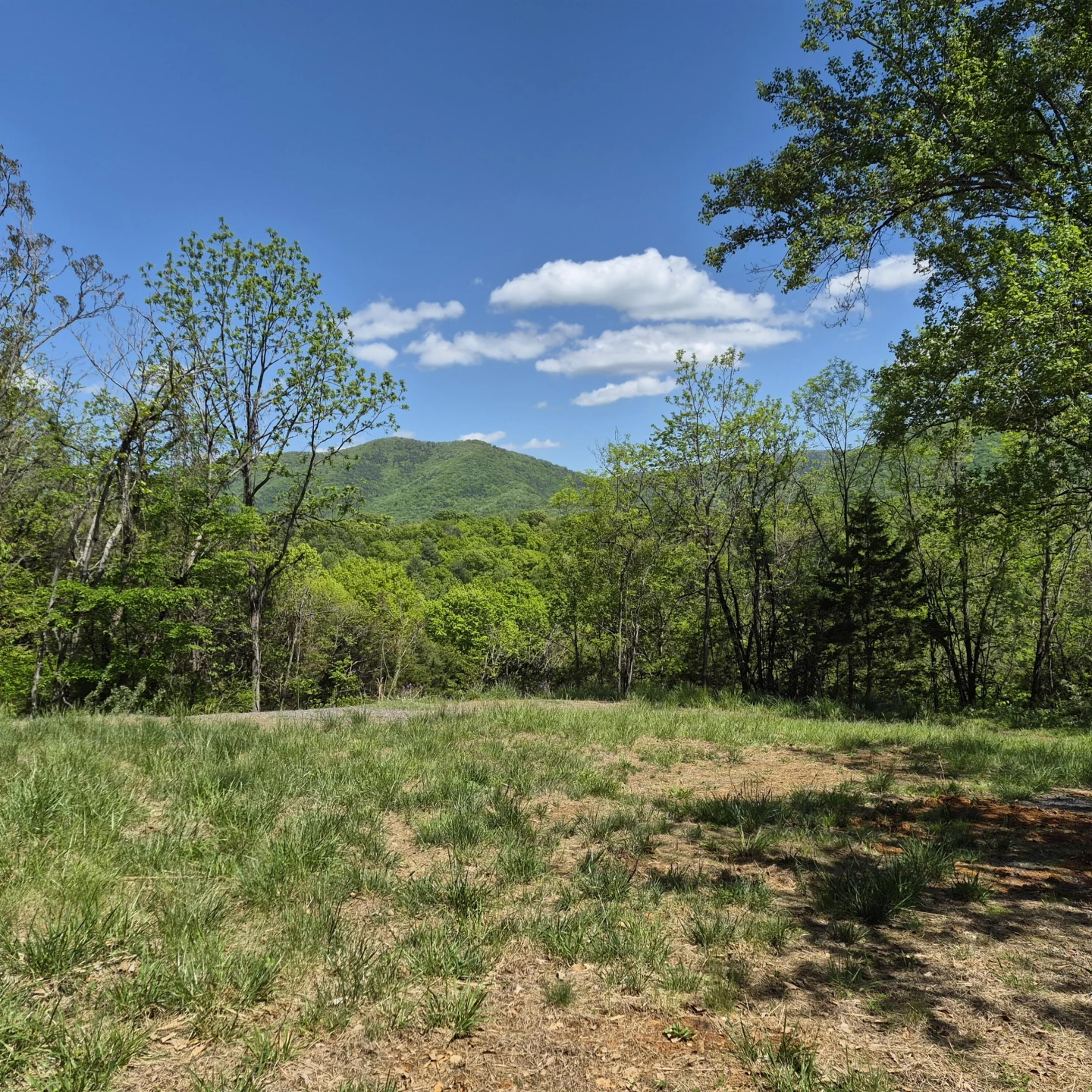 2 acres Coffey Hill Dr