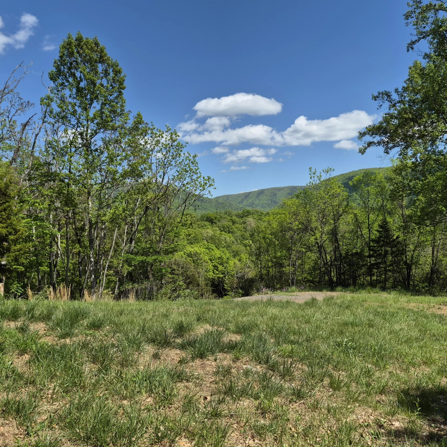 2 acres Coffey Hill Dr - Photo 12