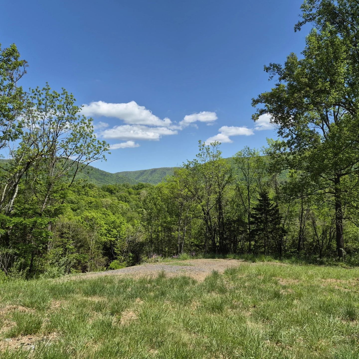2 acres Coffey Hill Dr - Photo 13