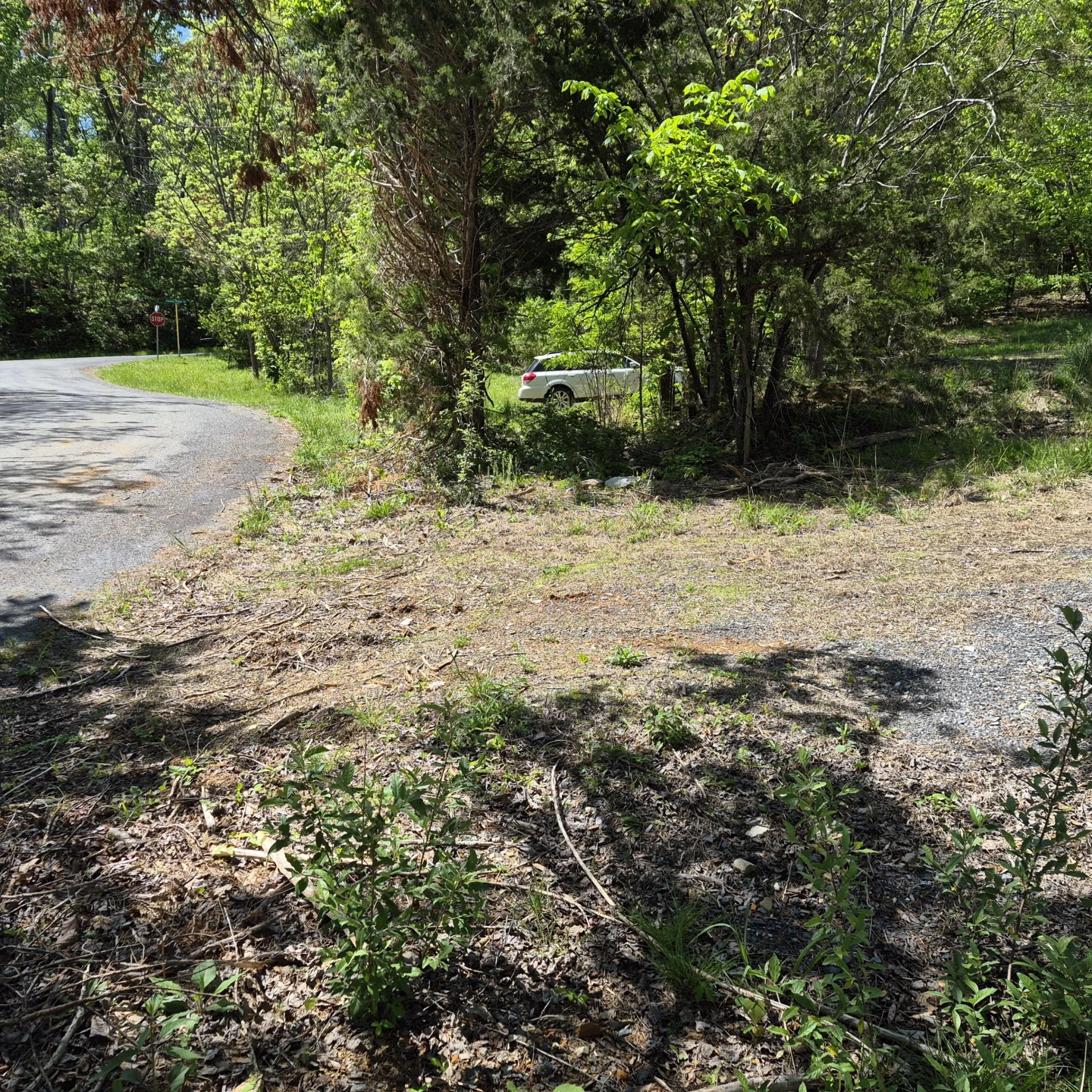 2 acres Coffey Hill Dr - Photo 16