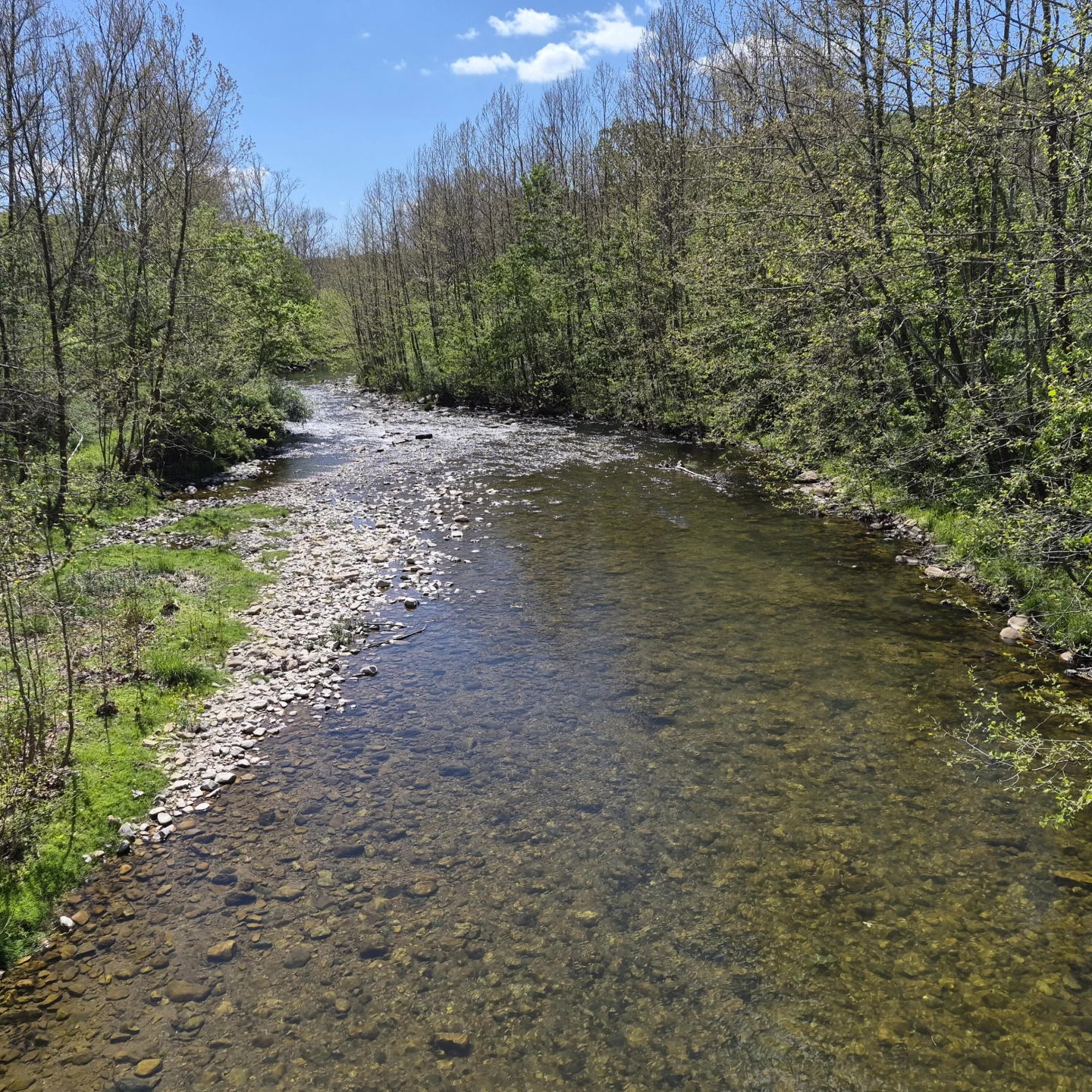2 acres Coffey Hill Dr - Photo 18