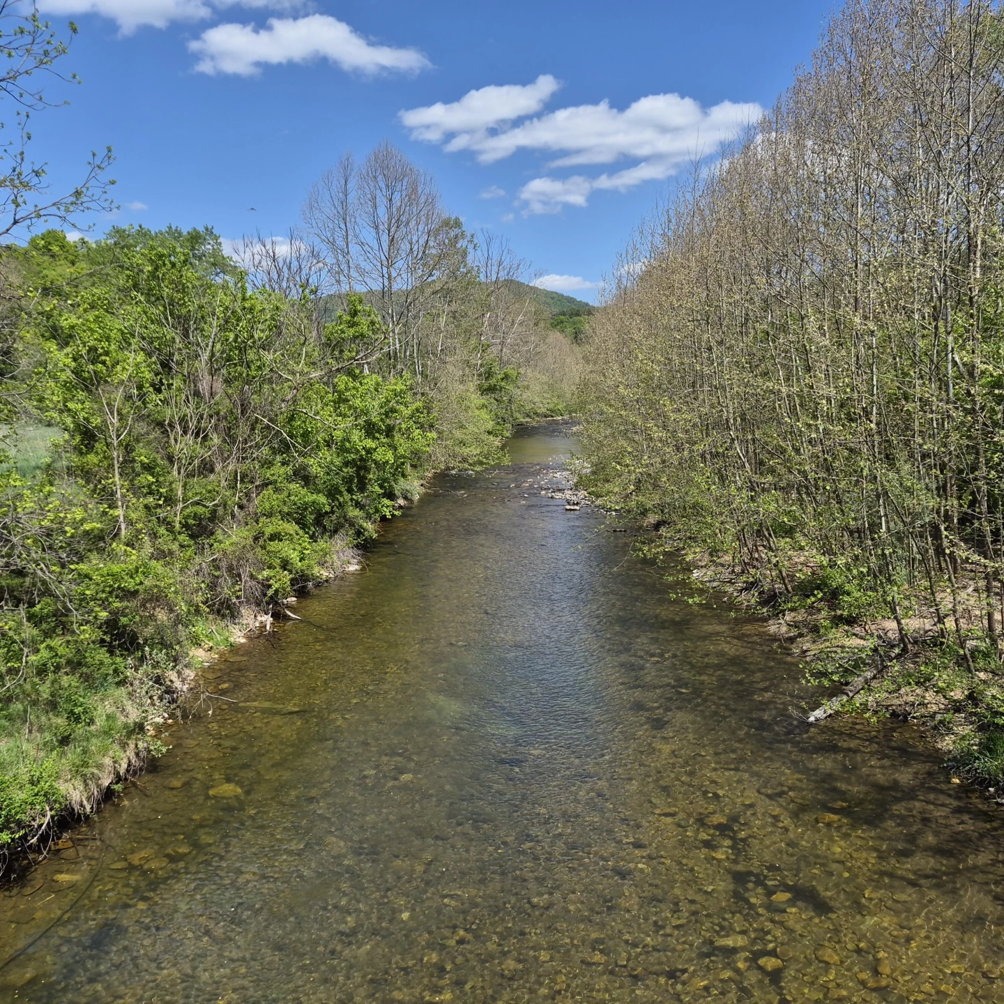 2 acres Coffey Hill Dr - Photo 19