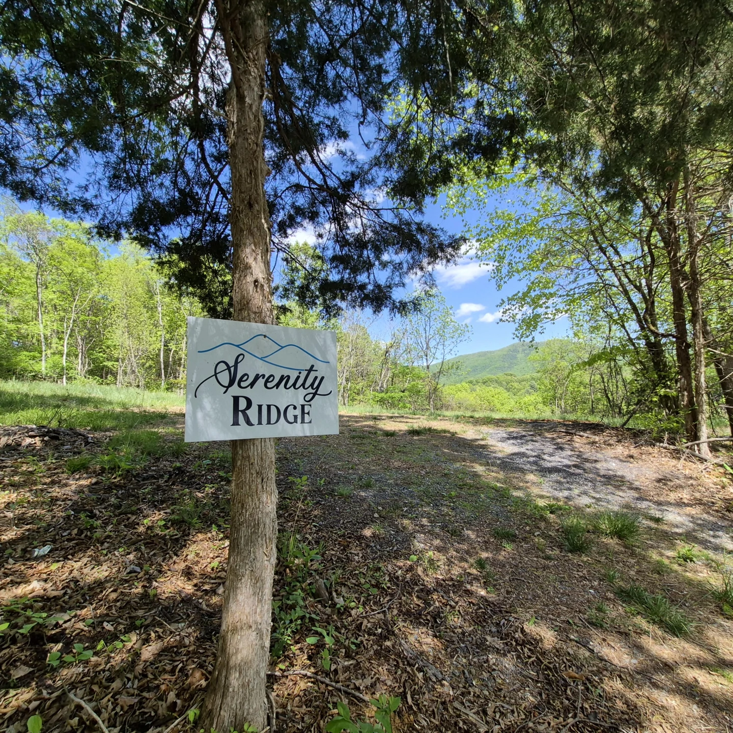 2 acres Coffey Hill Dr - Photo 2