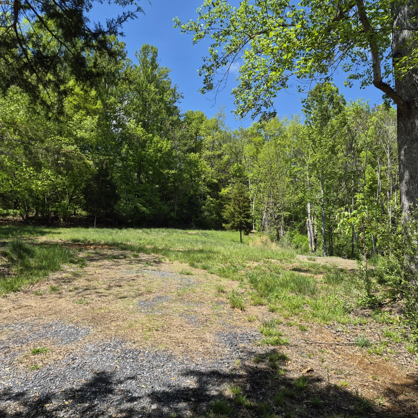 2 acres Coffey Hill Dr - Photo 6