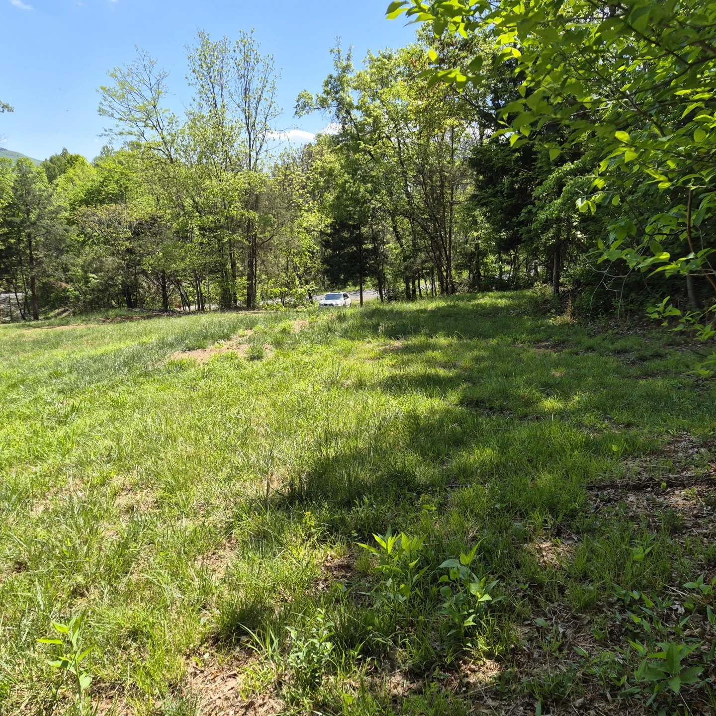2 acres Coffey Hill Dr - Photo 9