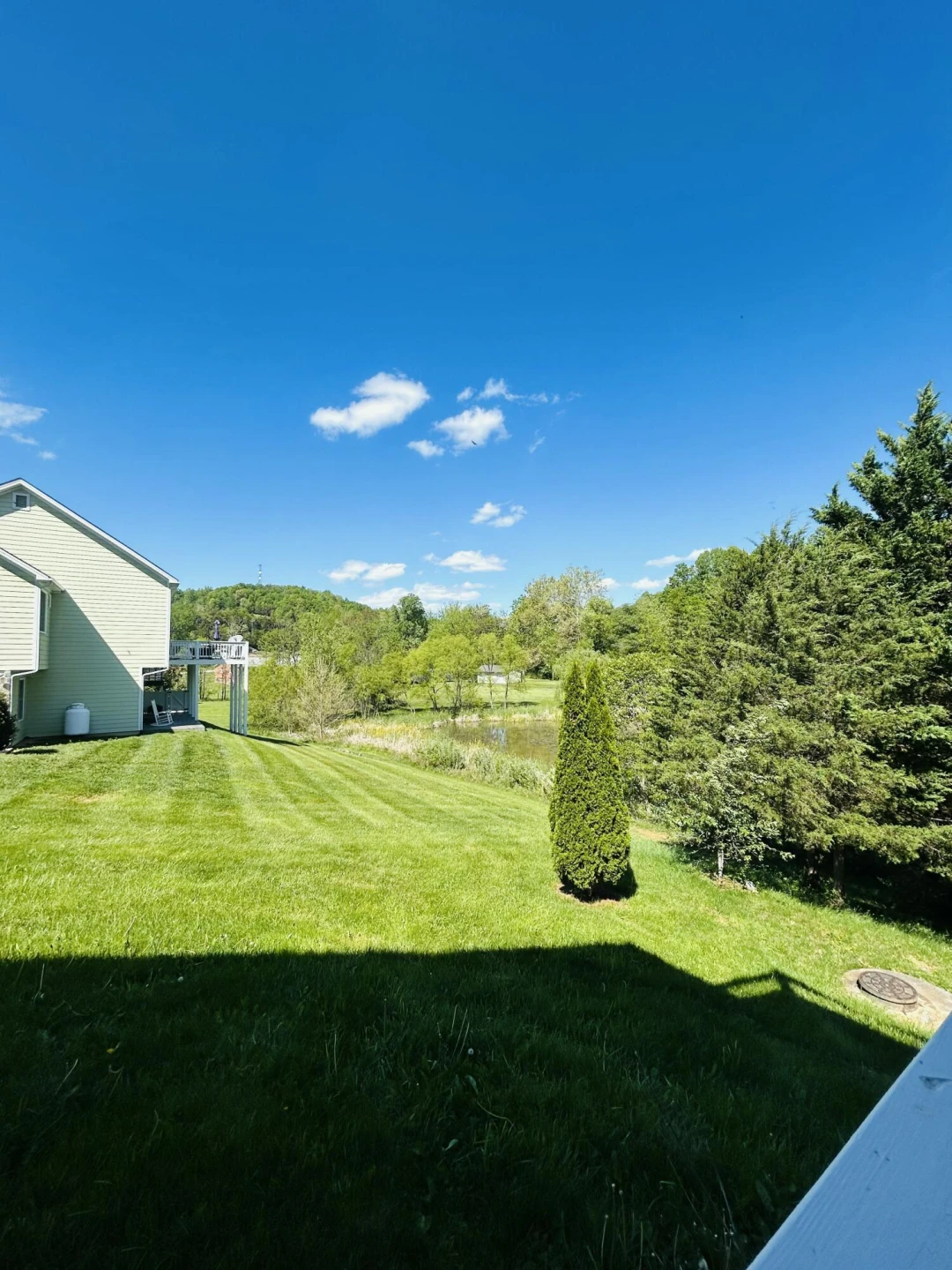 55 Springridge Ln - Photo 43