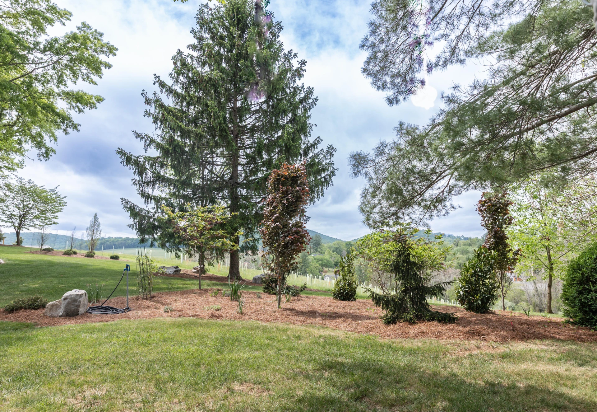 407 Overlook Cir - Photo 56