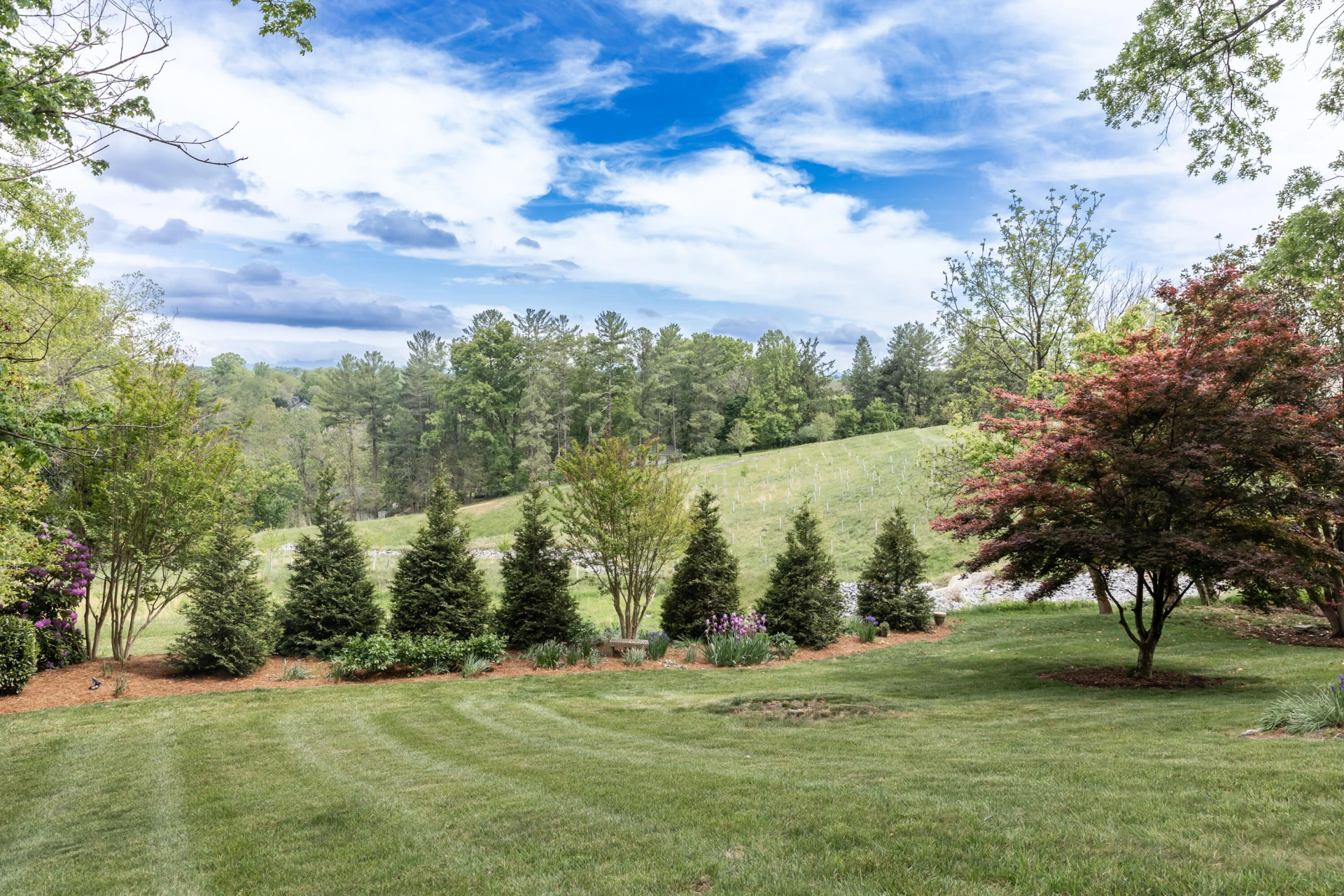 407 Overlook Cir - Photo 57