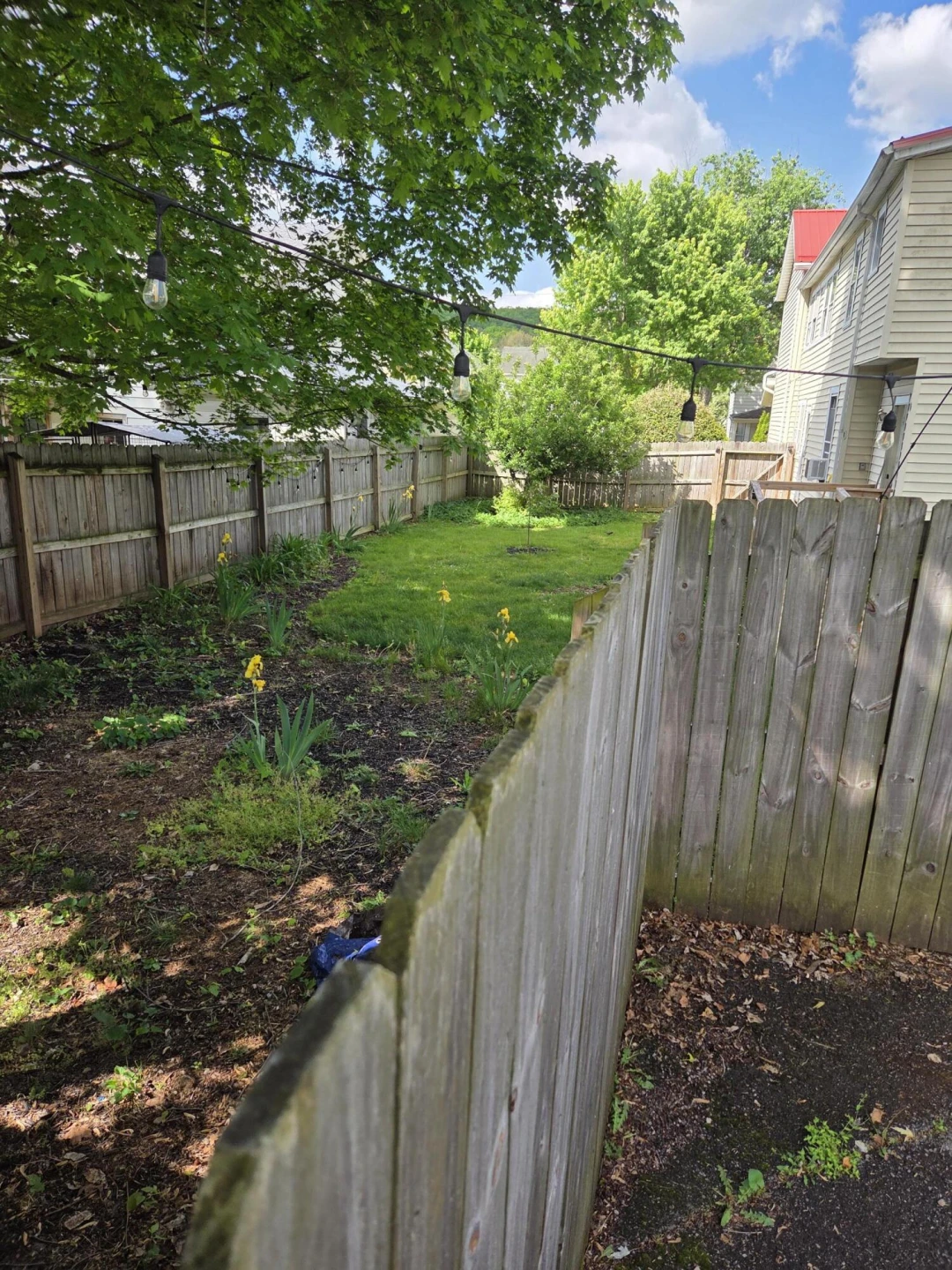 820 McCormick Blvd - Photo 31