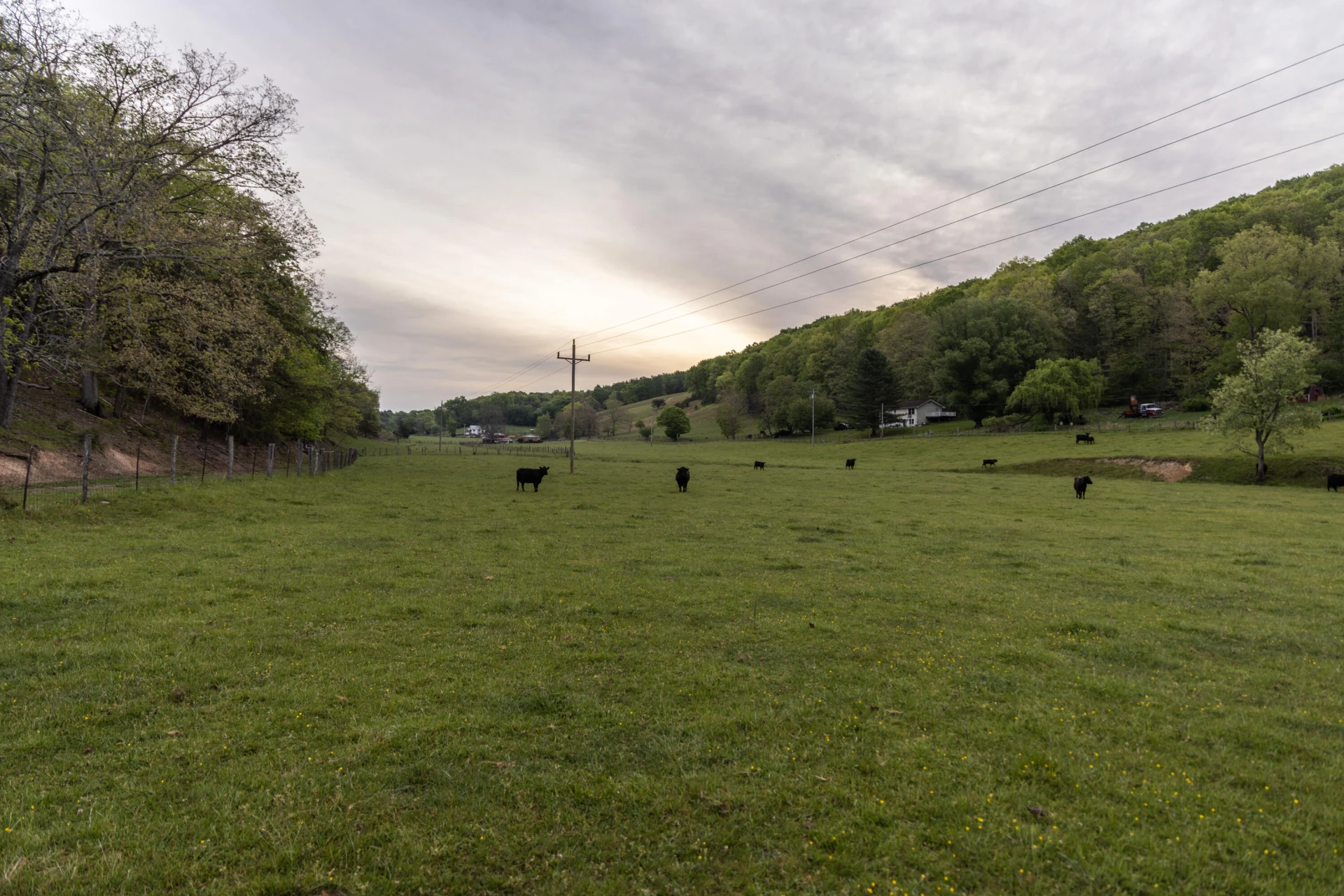 0 W Morris Hill Rd - Photo 16