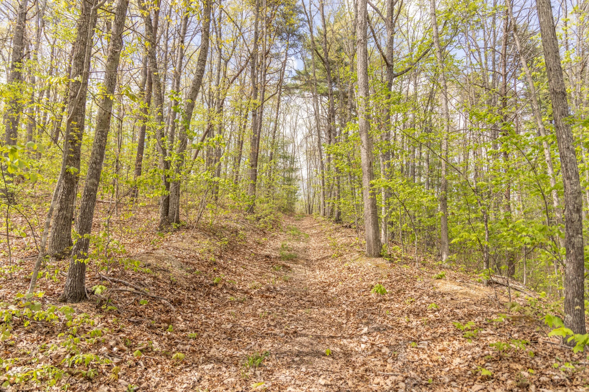 0 W Morris Hill Rd - Photo 40