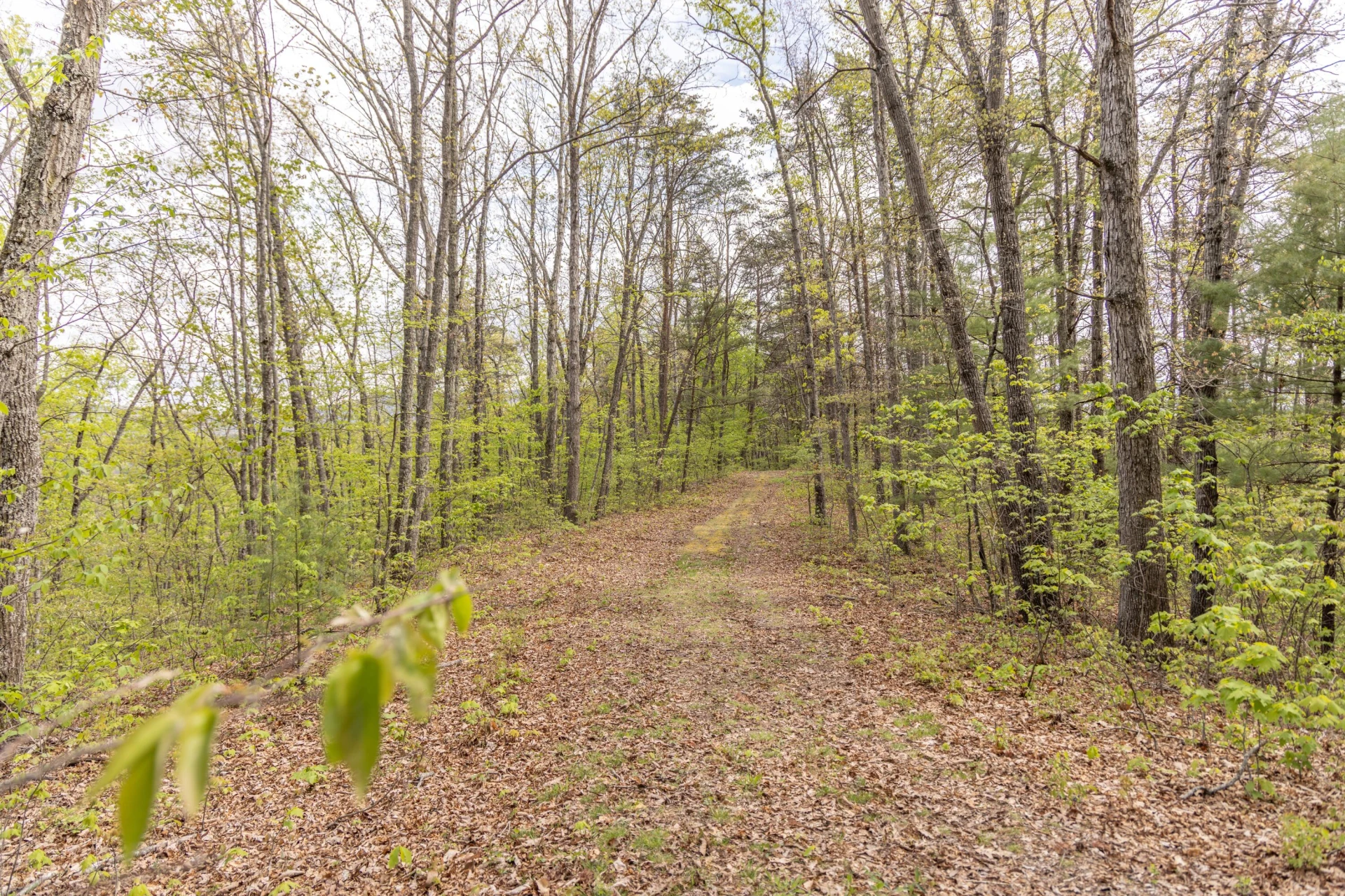 0 W Morris Hill Rd - Photo 41